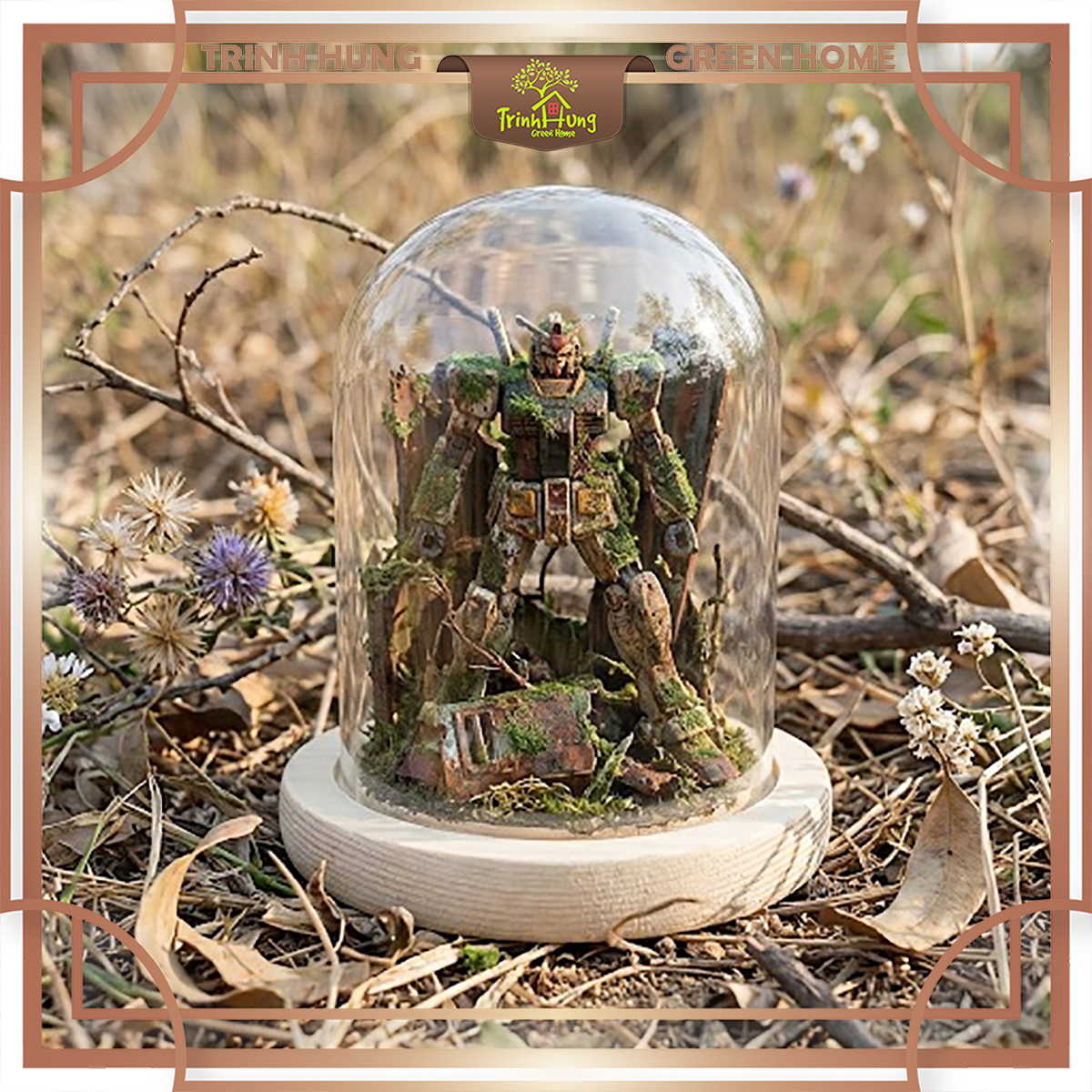 Bình thủy tinh nắp chụp đế gỗ