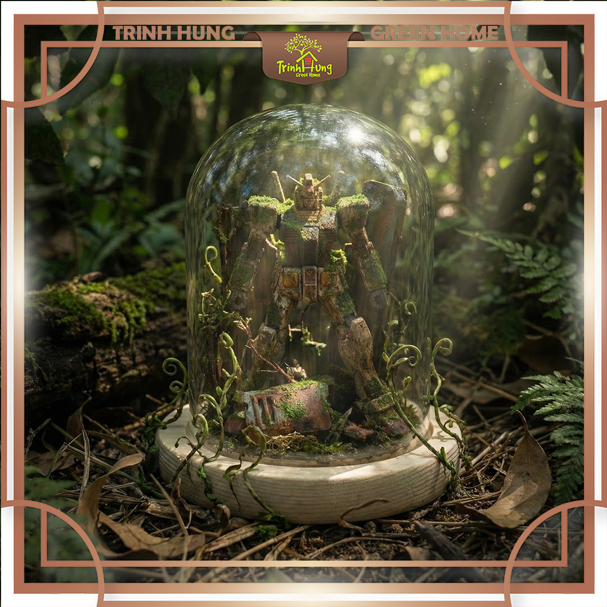 Bình thủy tinh nắp chụp đế gỗ