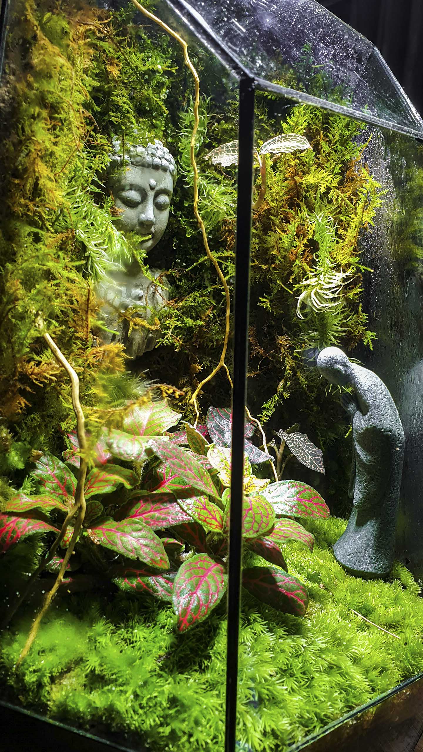 Terrarium "bái phật trong rừng"