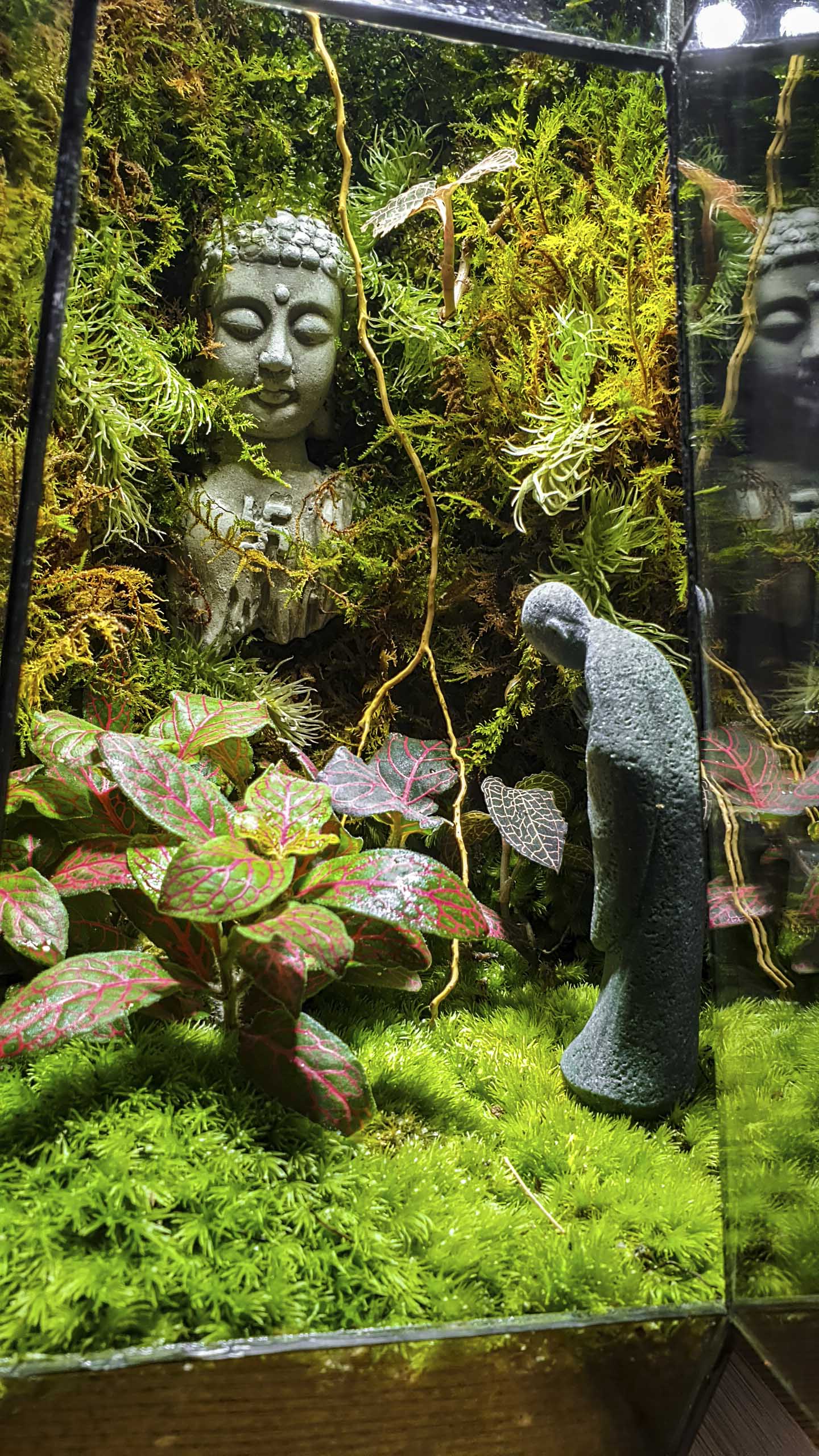Terrarium "bái phật trong rừng"