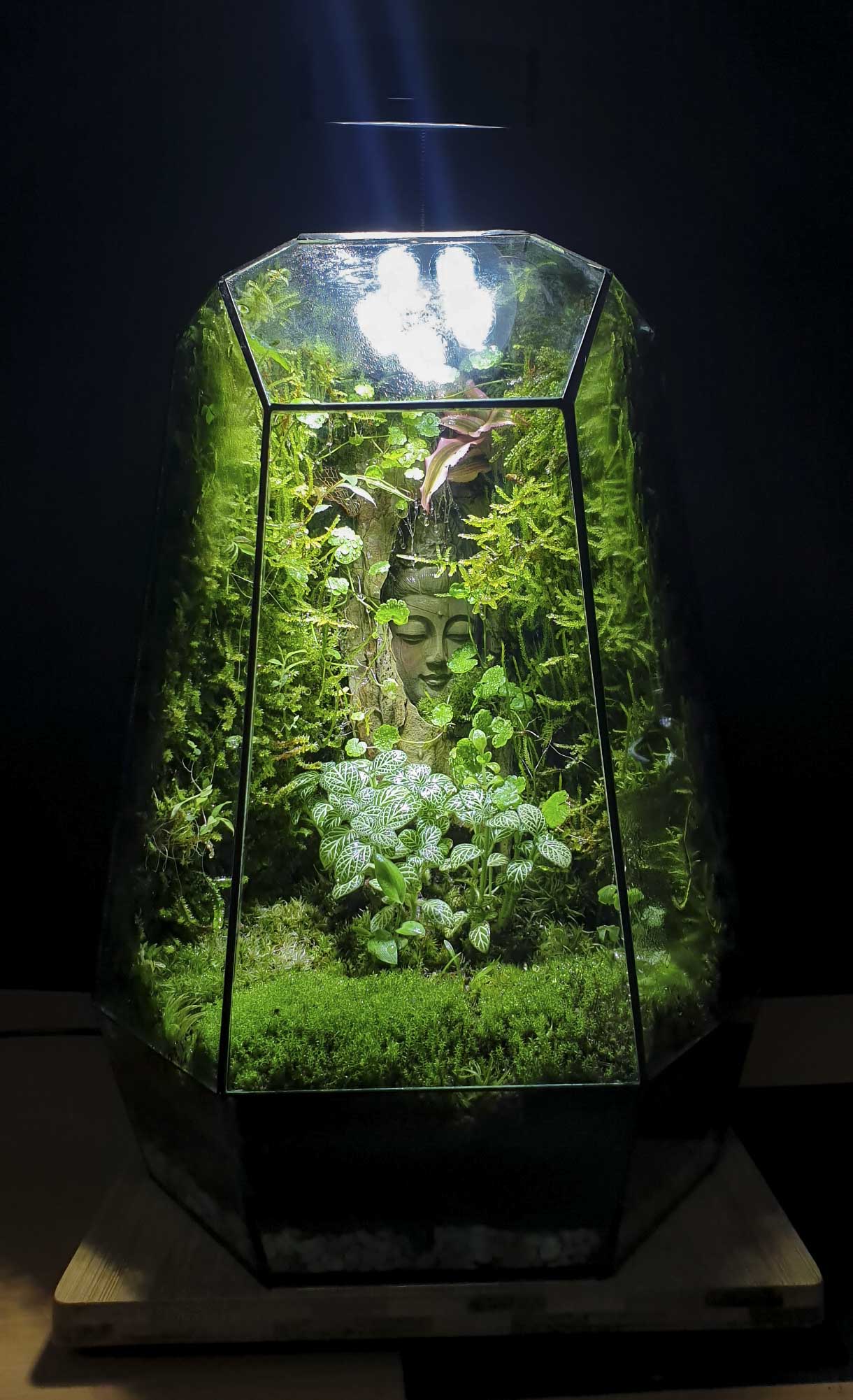 Terrarium "Diện phật Quan âm"