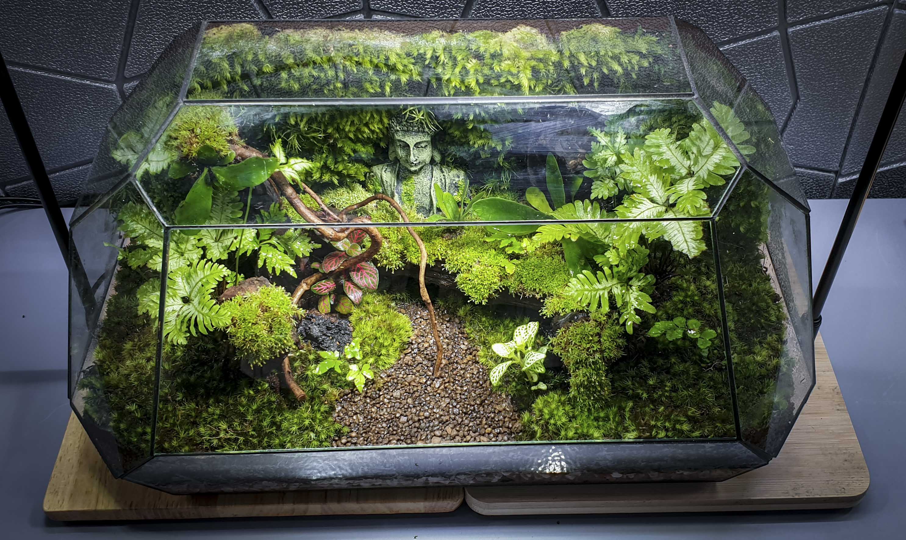 Terrarium Bus "bái phật trong rừng"