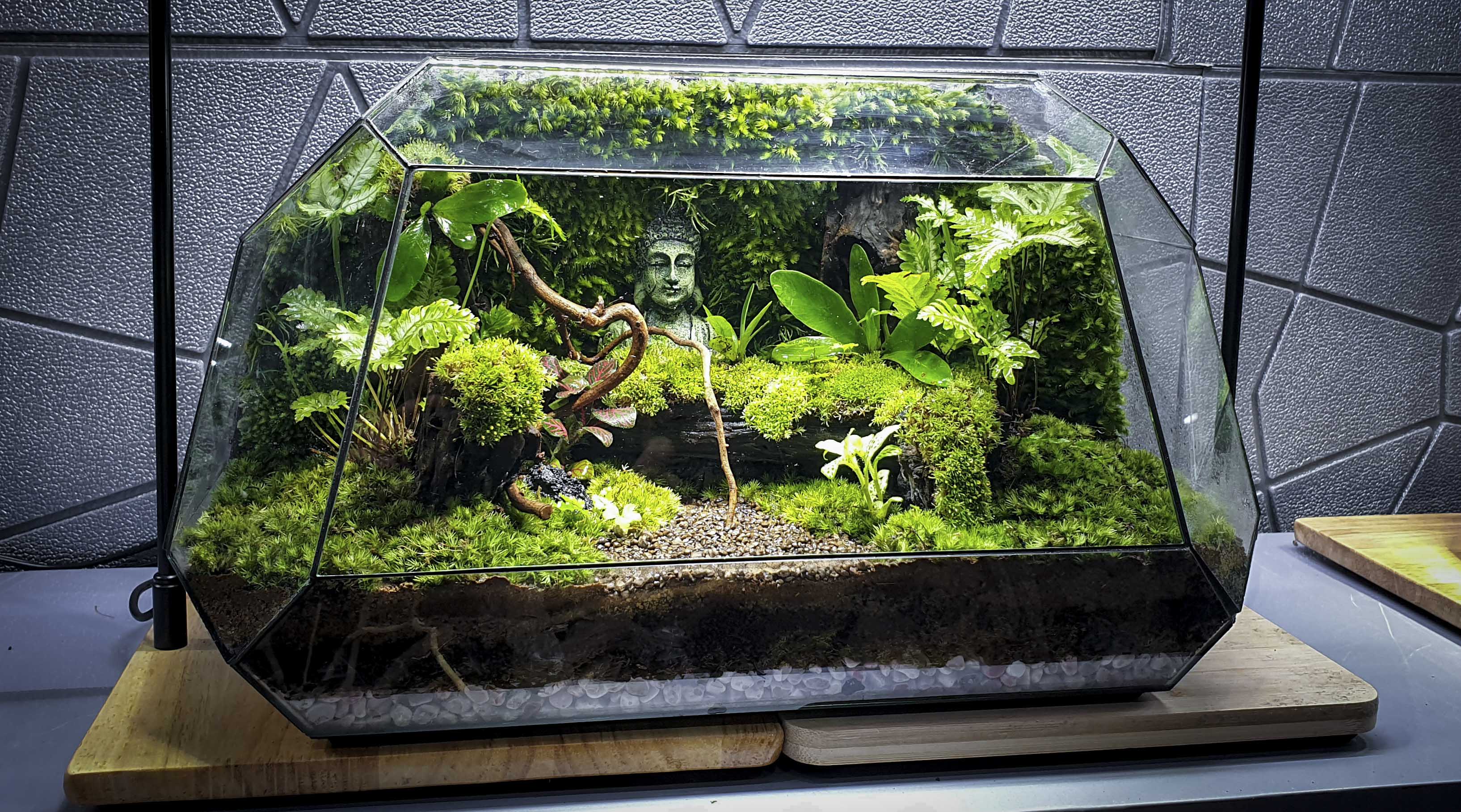 Terrarium Bus "bái phật trong rừng"