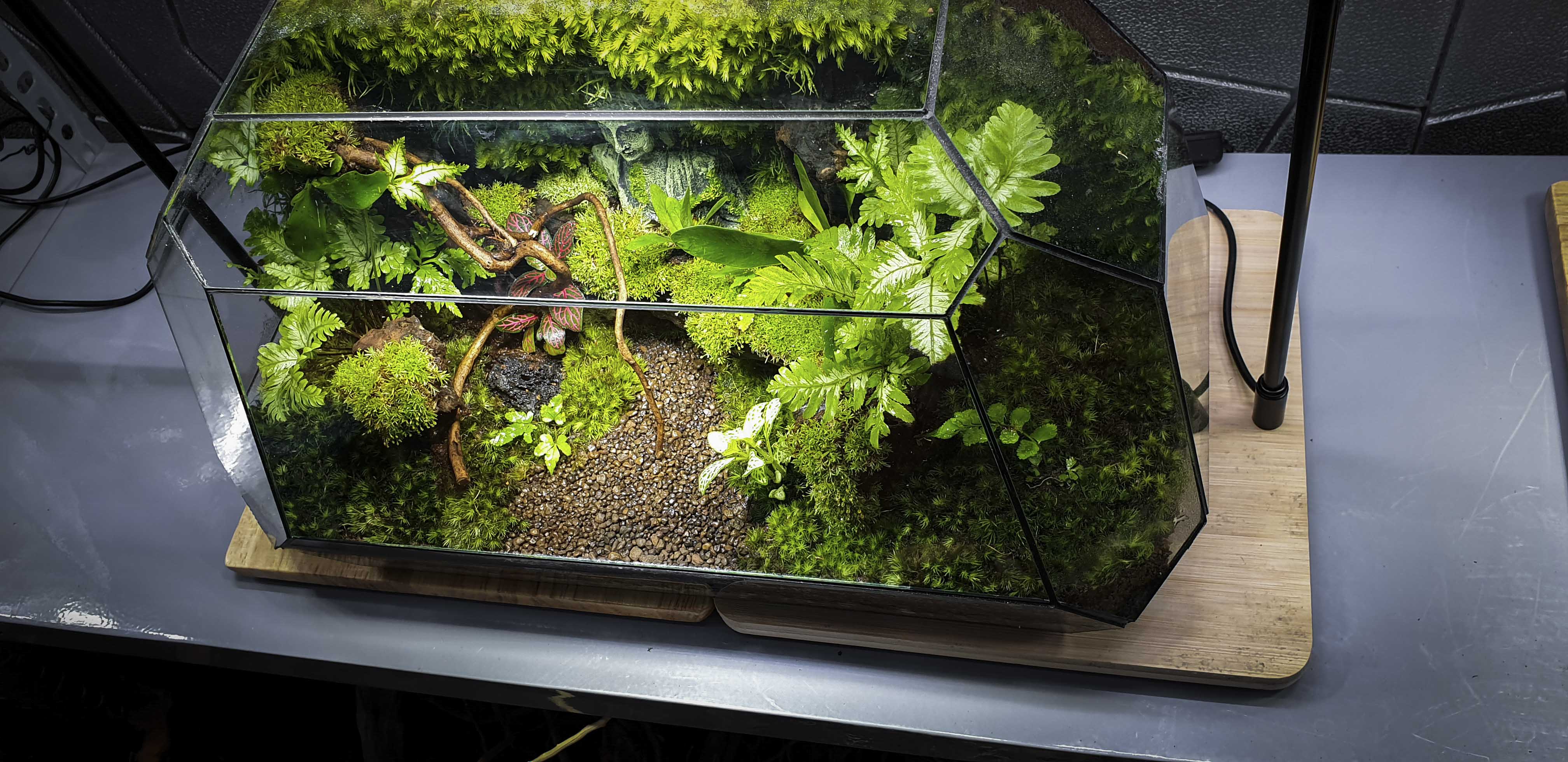 Terrarium Bus "bái phật trong rừng"