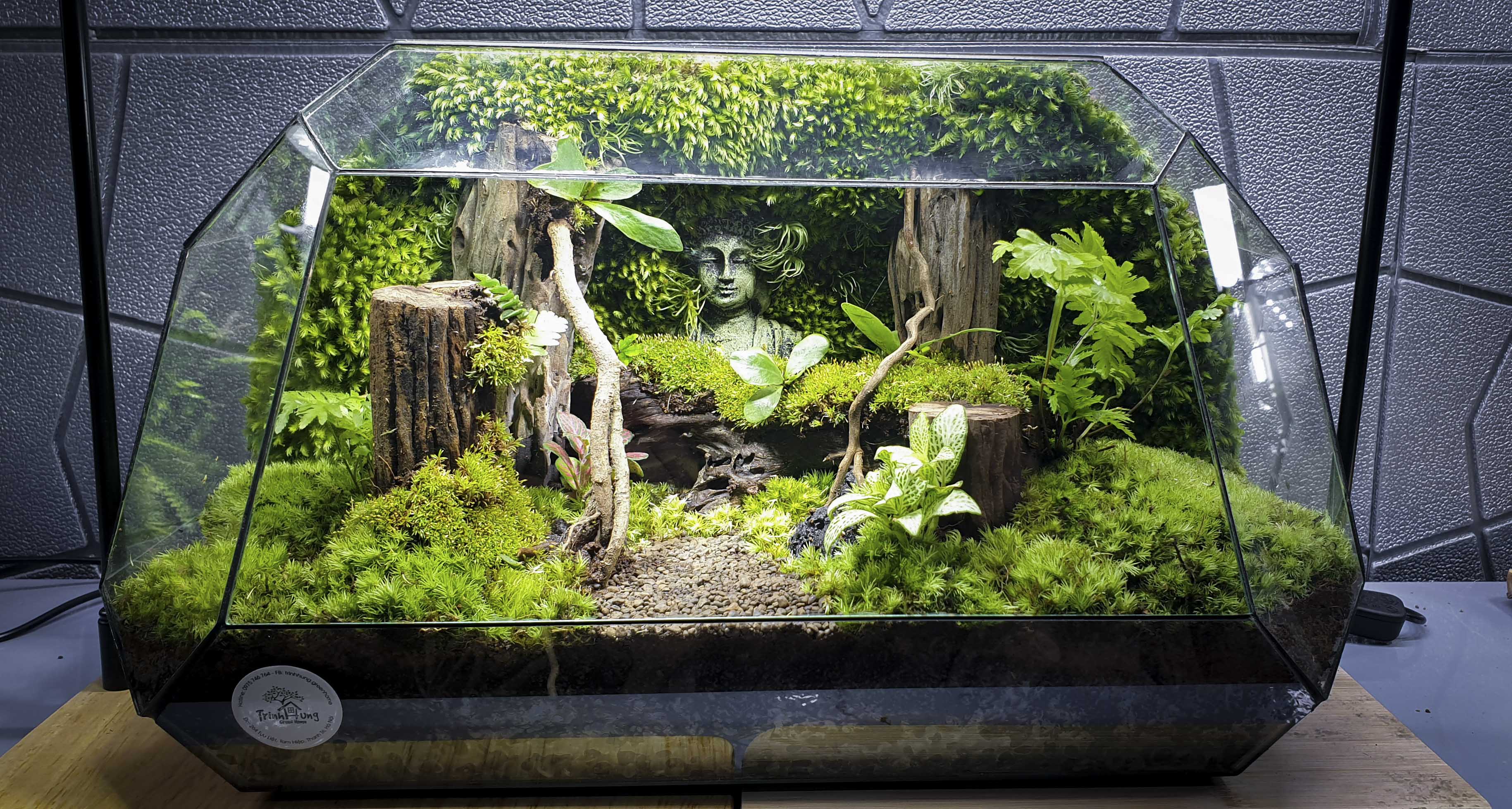 Terrarium Bus "bái phật trong rừng"