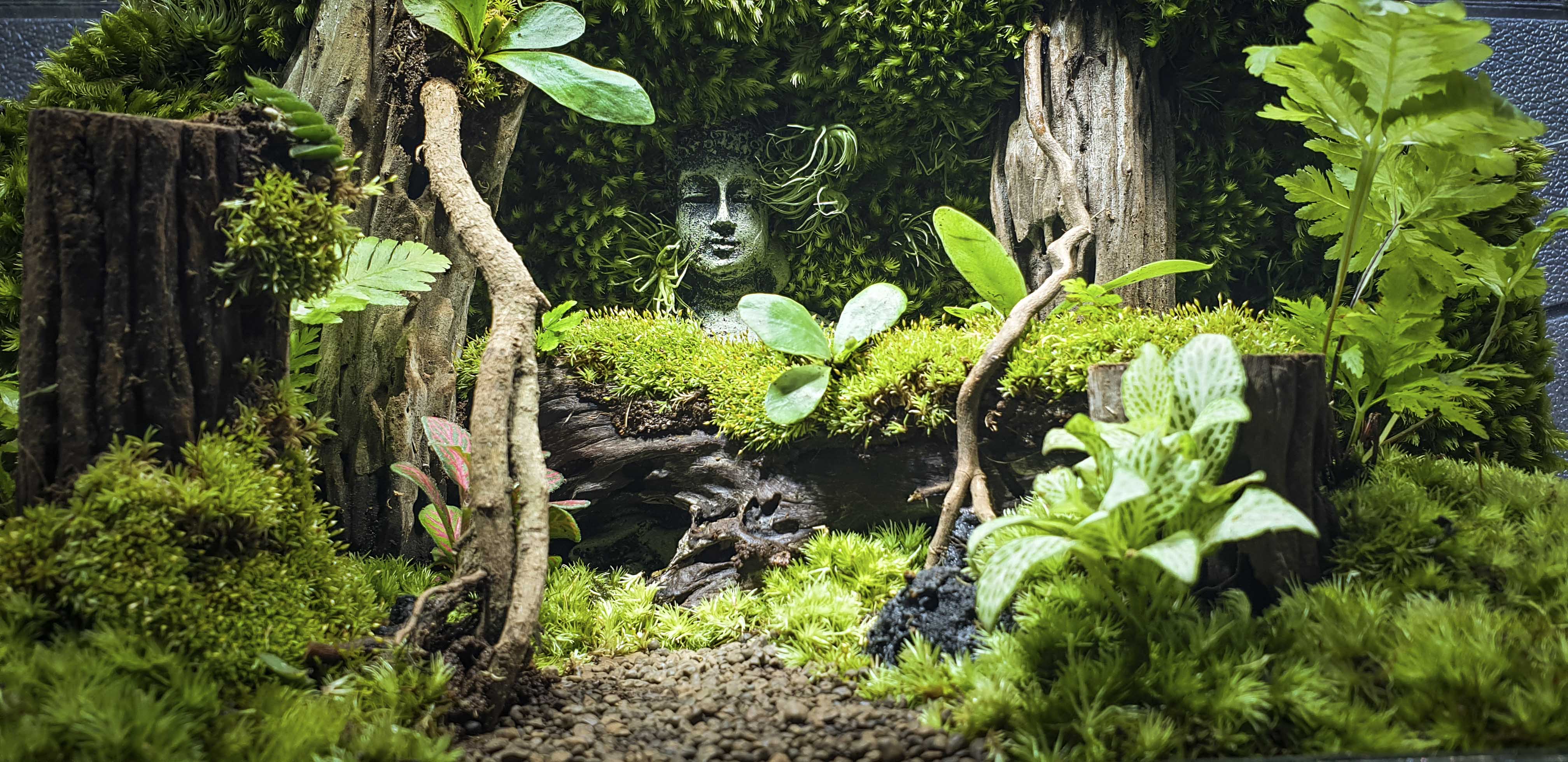 Terrarium Bus "bái phật trong rừng"