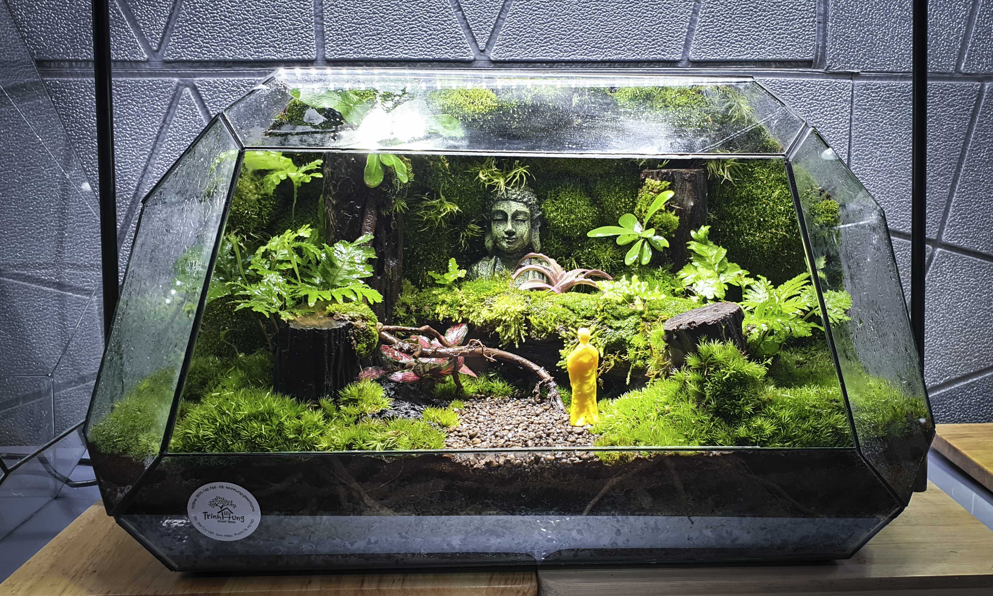 Terrarium Bus "bái phật trong rừng"