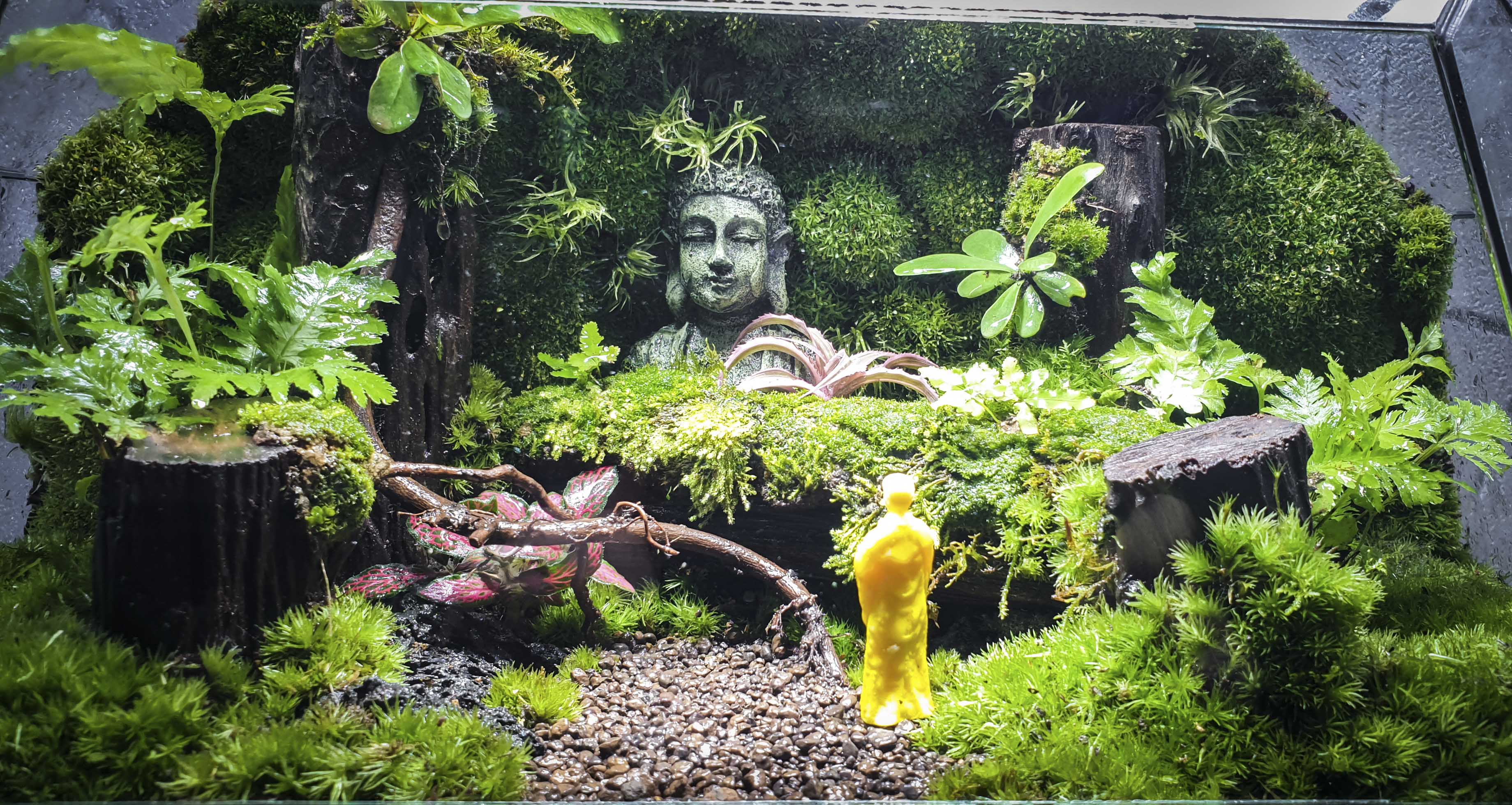 Terrarium Bus "bái phật trong rừng"