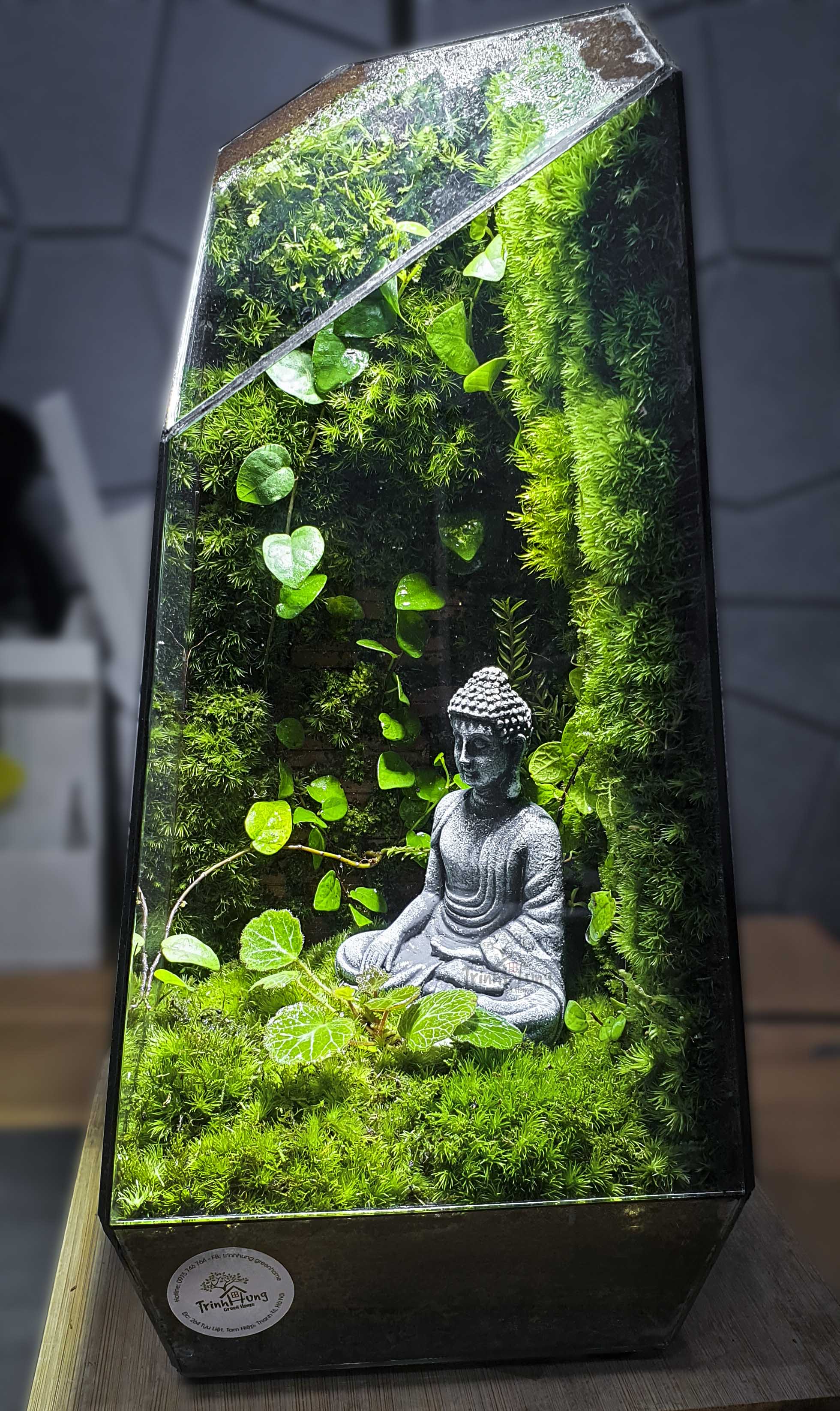 Terrarium "tường gạch"