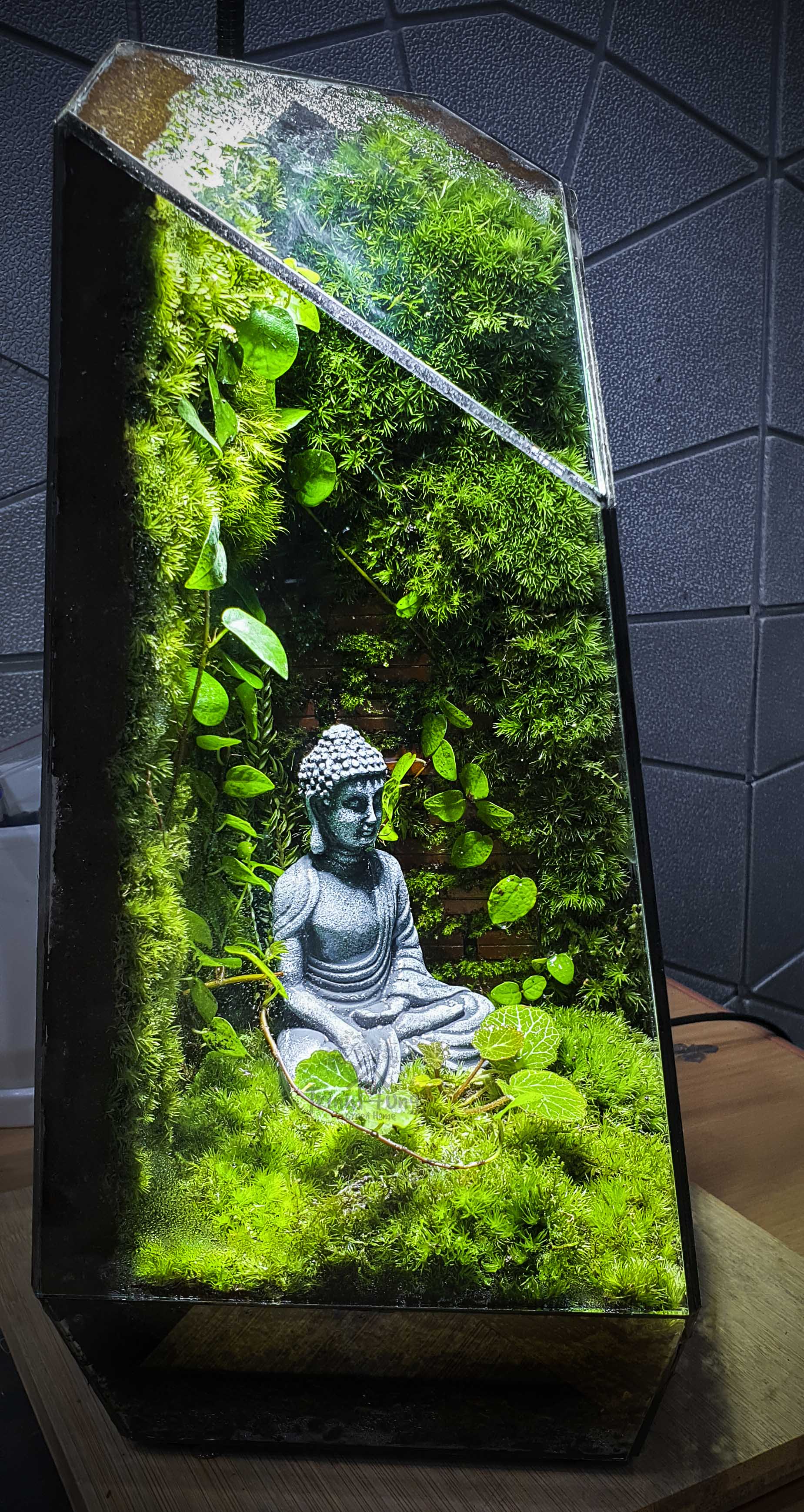 Terrarium "tường gạch"