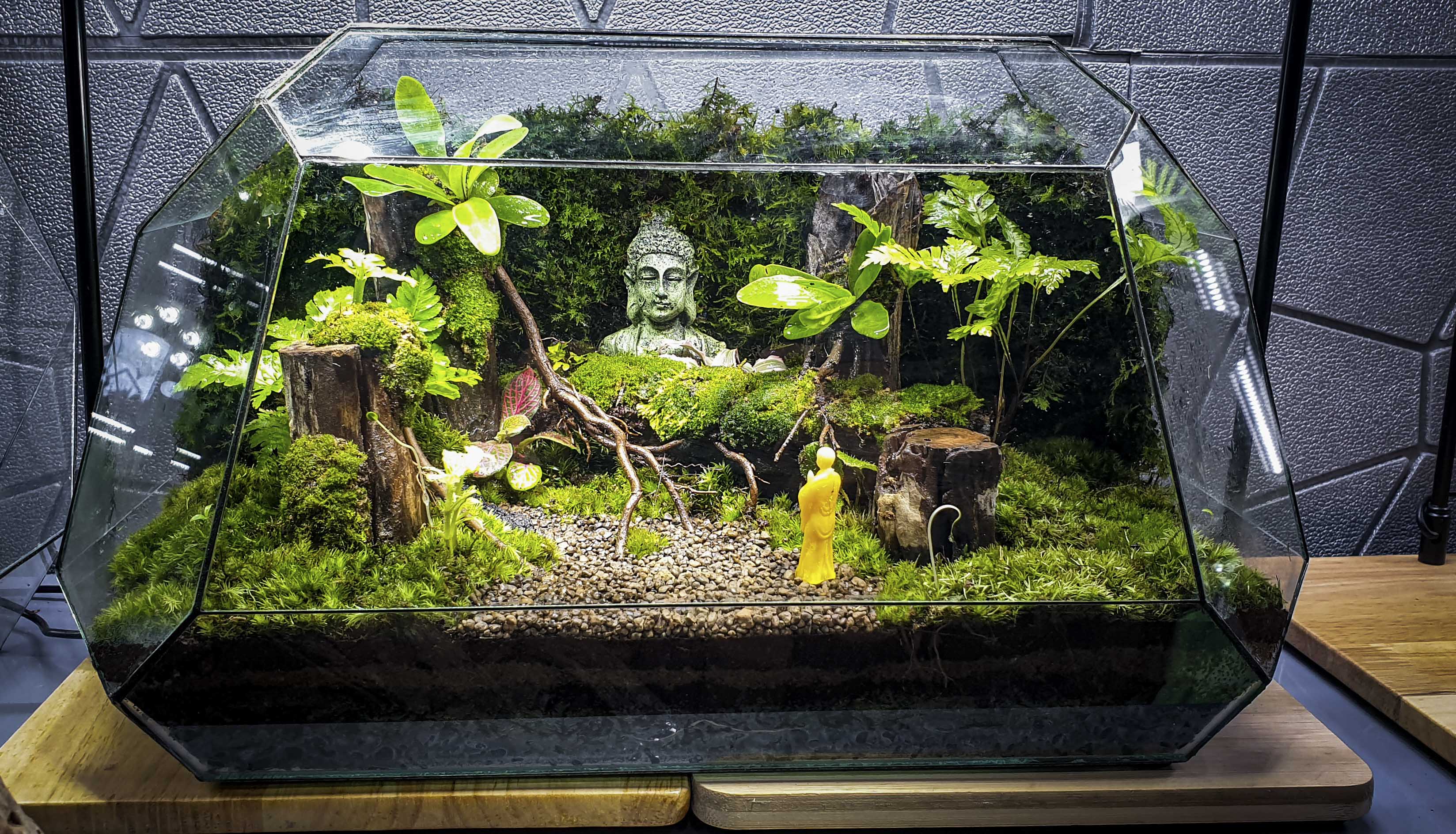 Terrarium Bus "bái phật trong rừng"