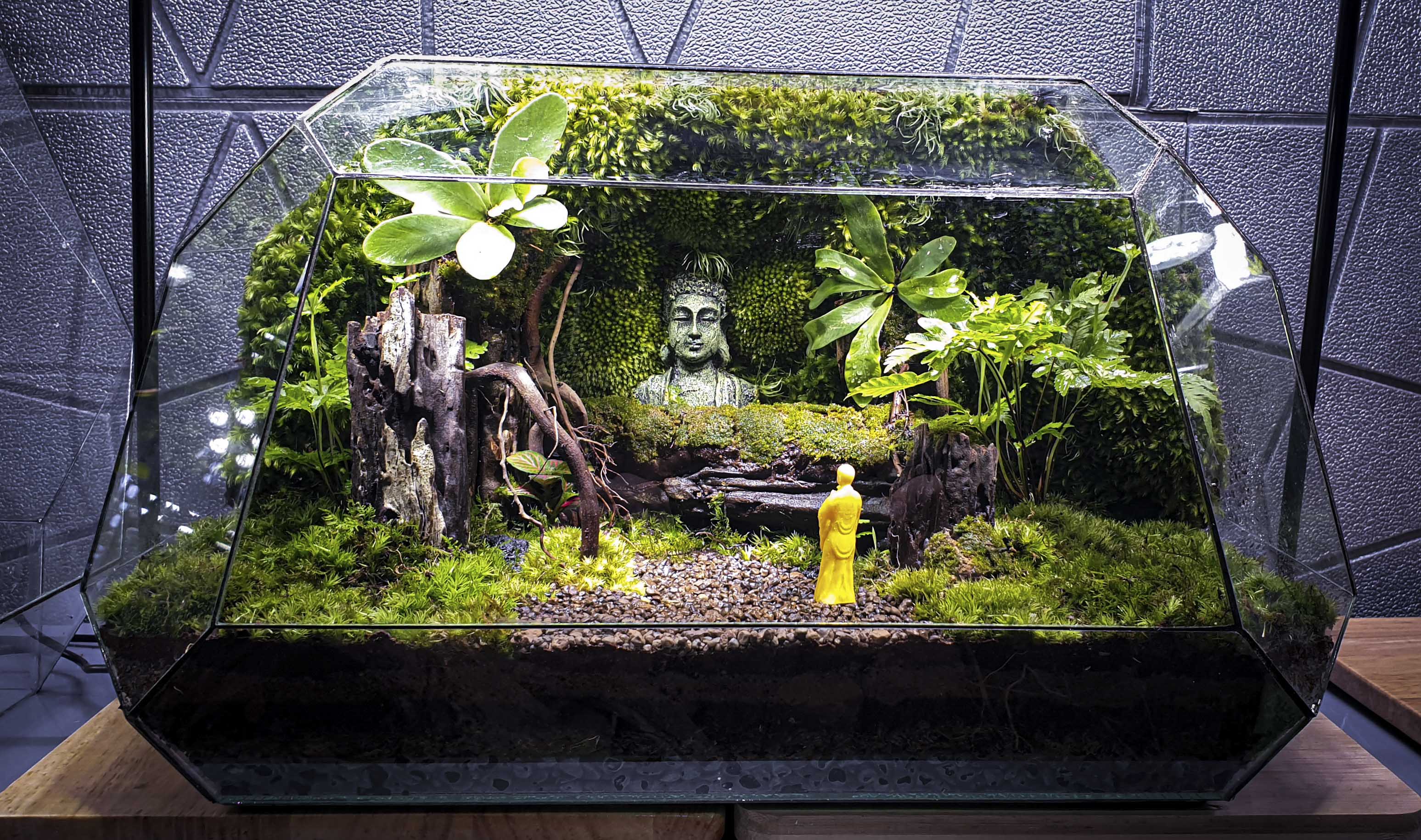 Terrarium Bus "bái phật trong rừng"
