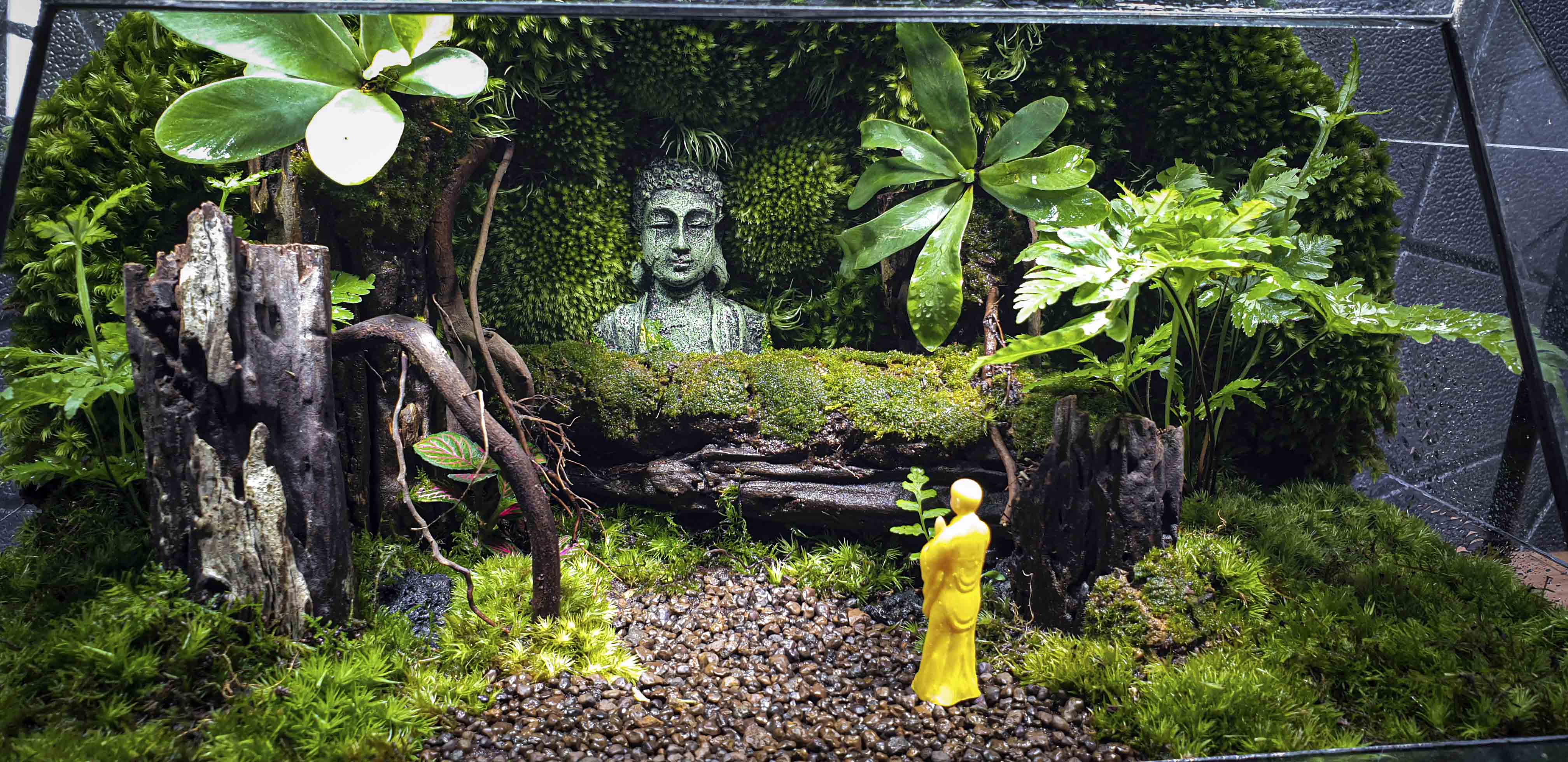 Terrarium Bus "bái phật trong rừng"