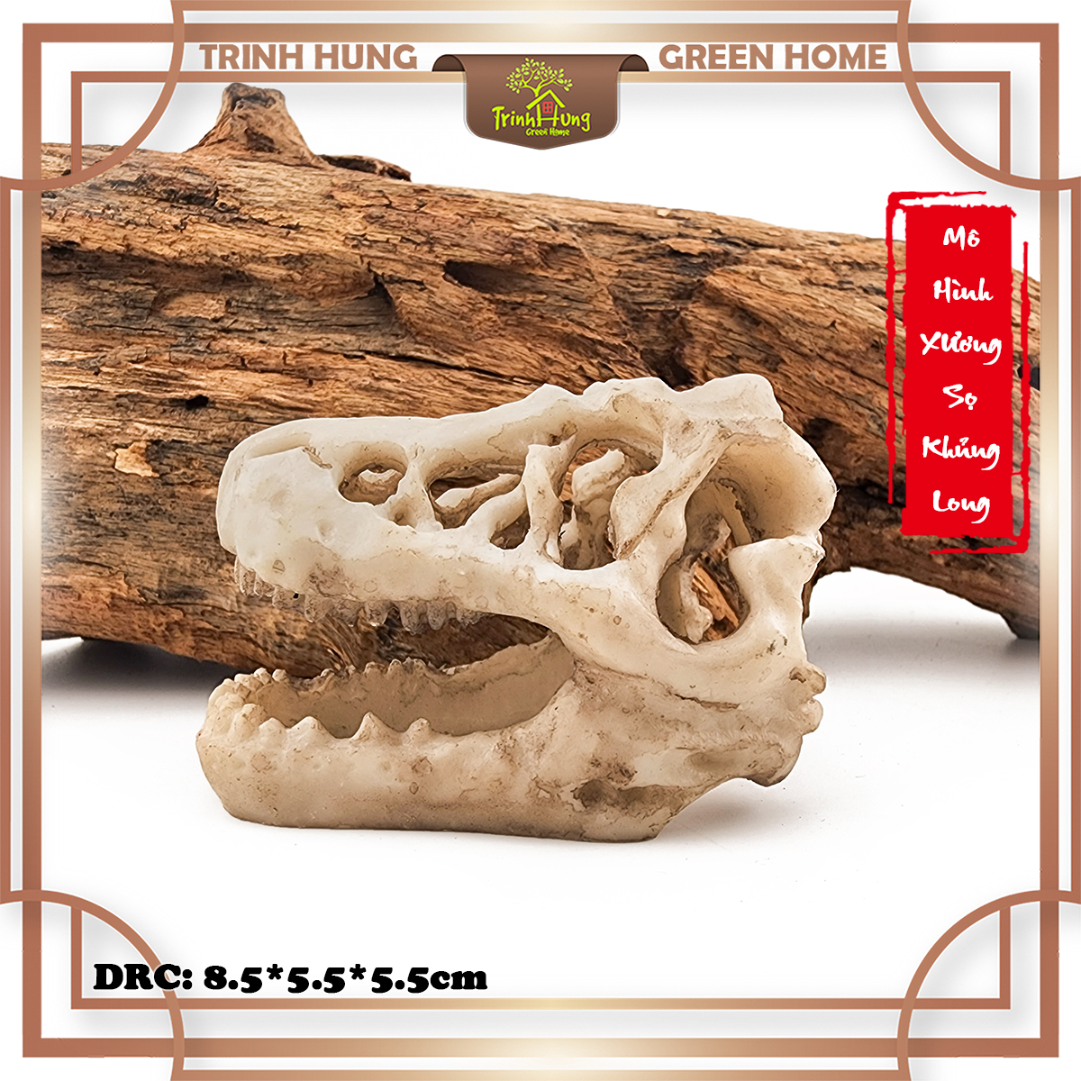Mô hình sọ khủng long T-Rex