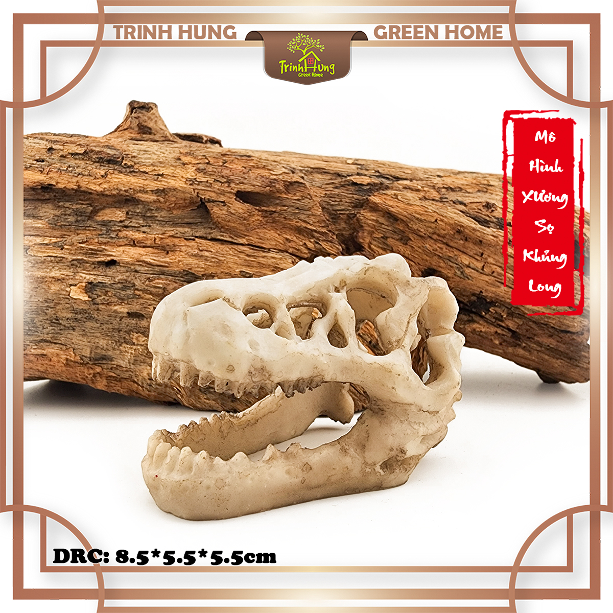 Mô hình sọ khủng long T-Rex
