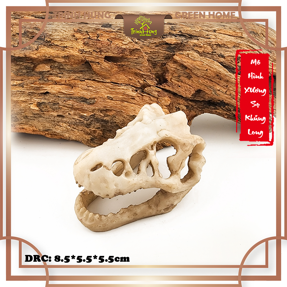 Mô hình sọ khủng long T-Rex