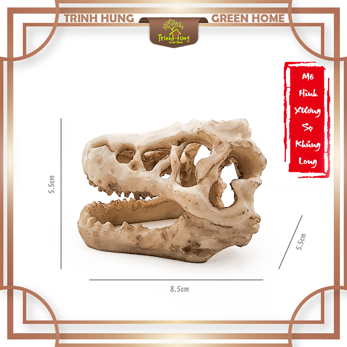 Mô hình sọ khủng long T-Rex