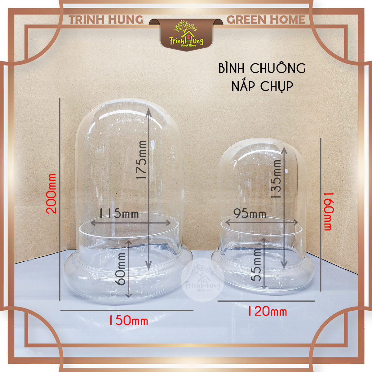 Bình thủy tinh Terrarium chuông nắp chụp