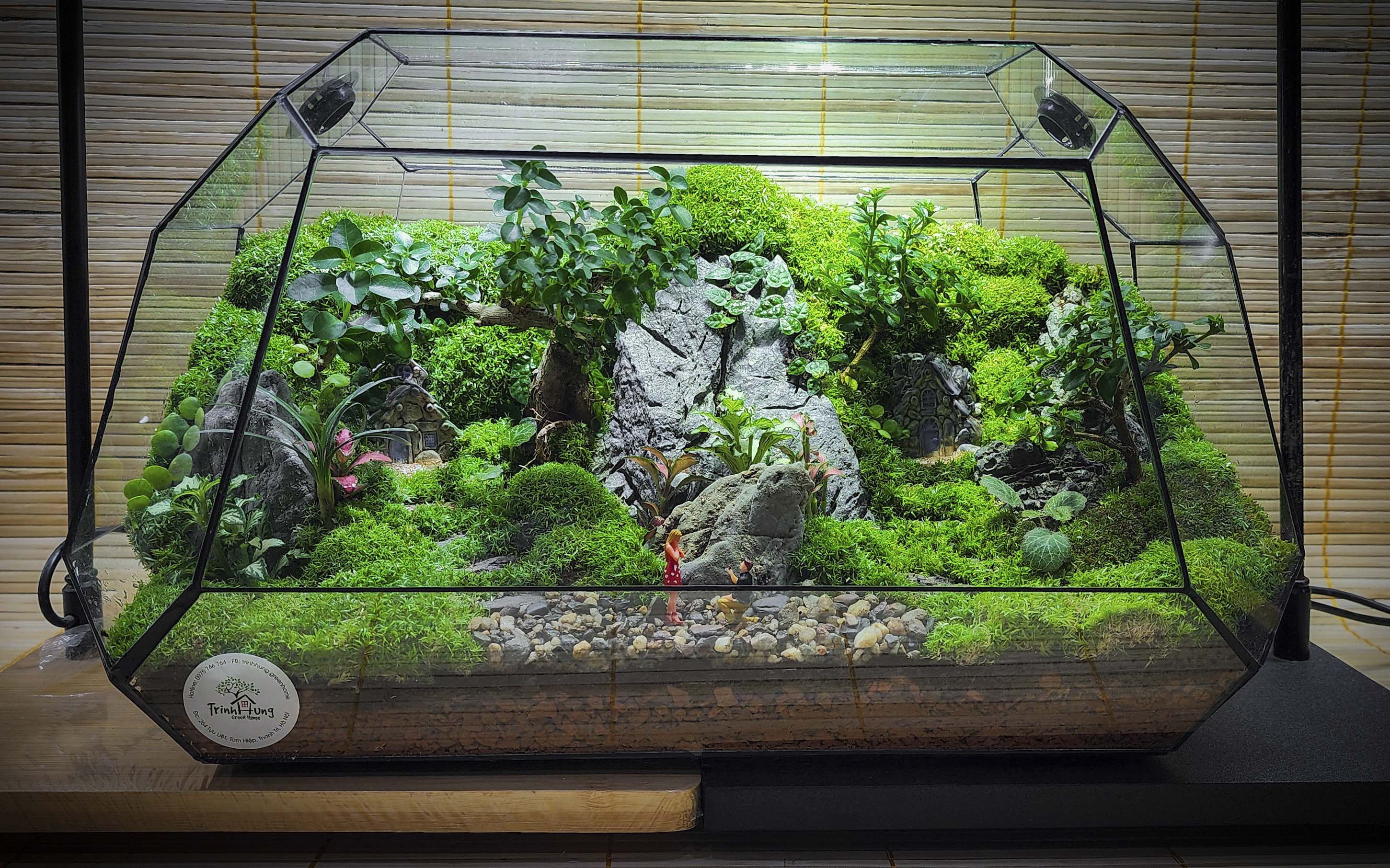 Terrarium Bus "Cầu hôn"