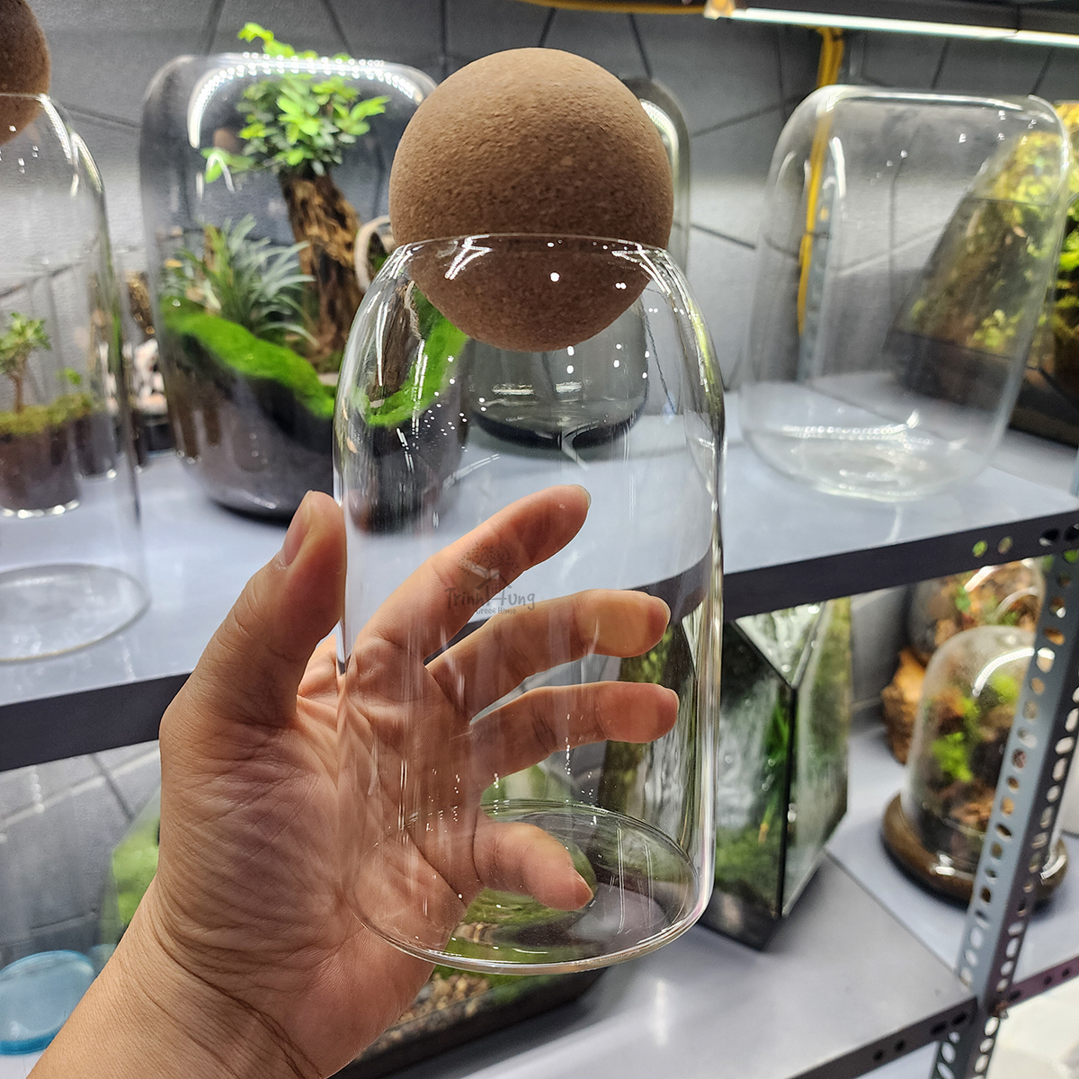 Bình thủy tinh nắp bấc cầu