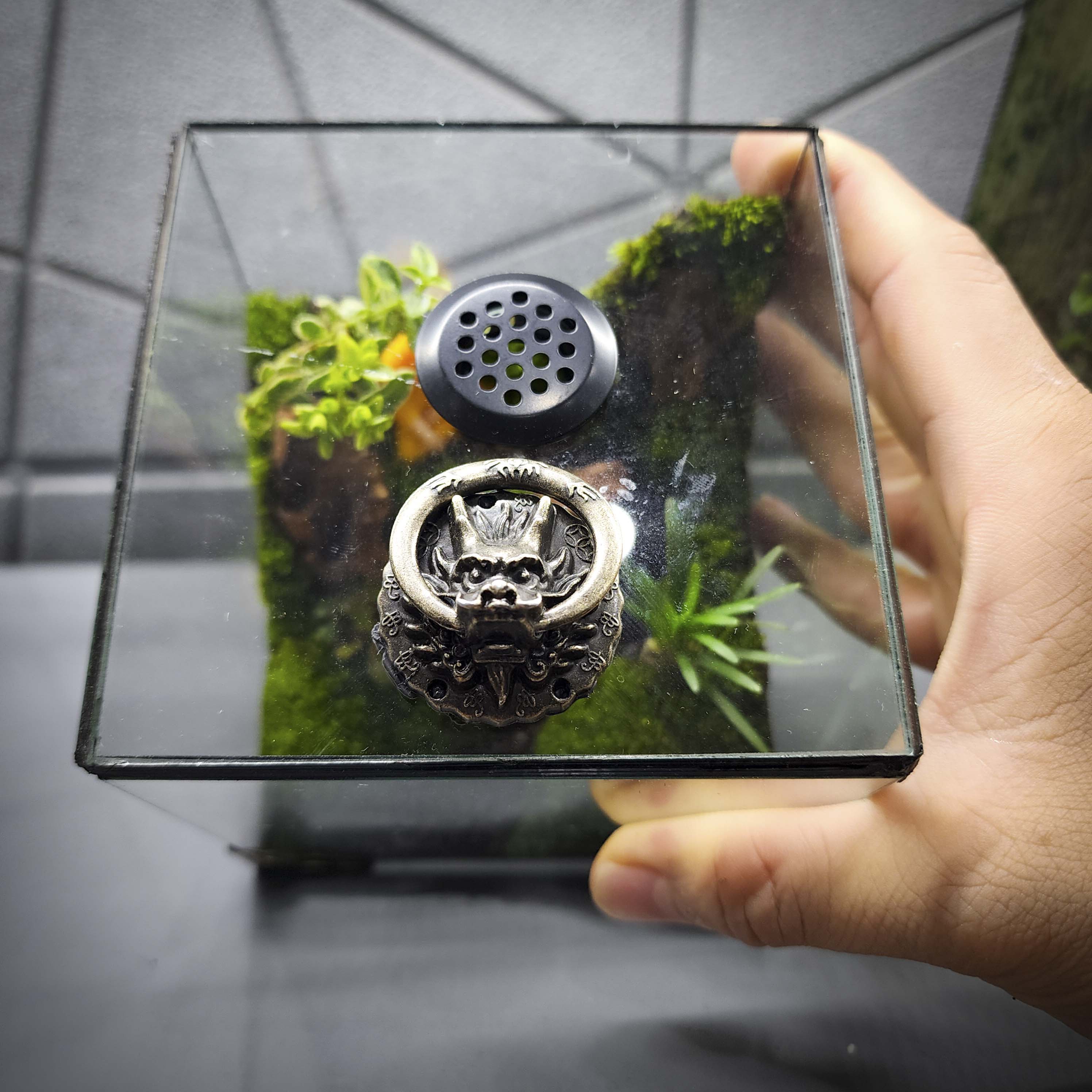 Terrarium cubic 10 "Lão nông"