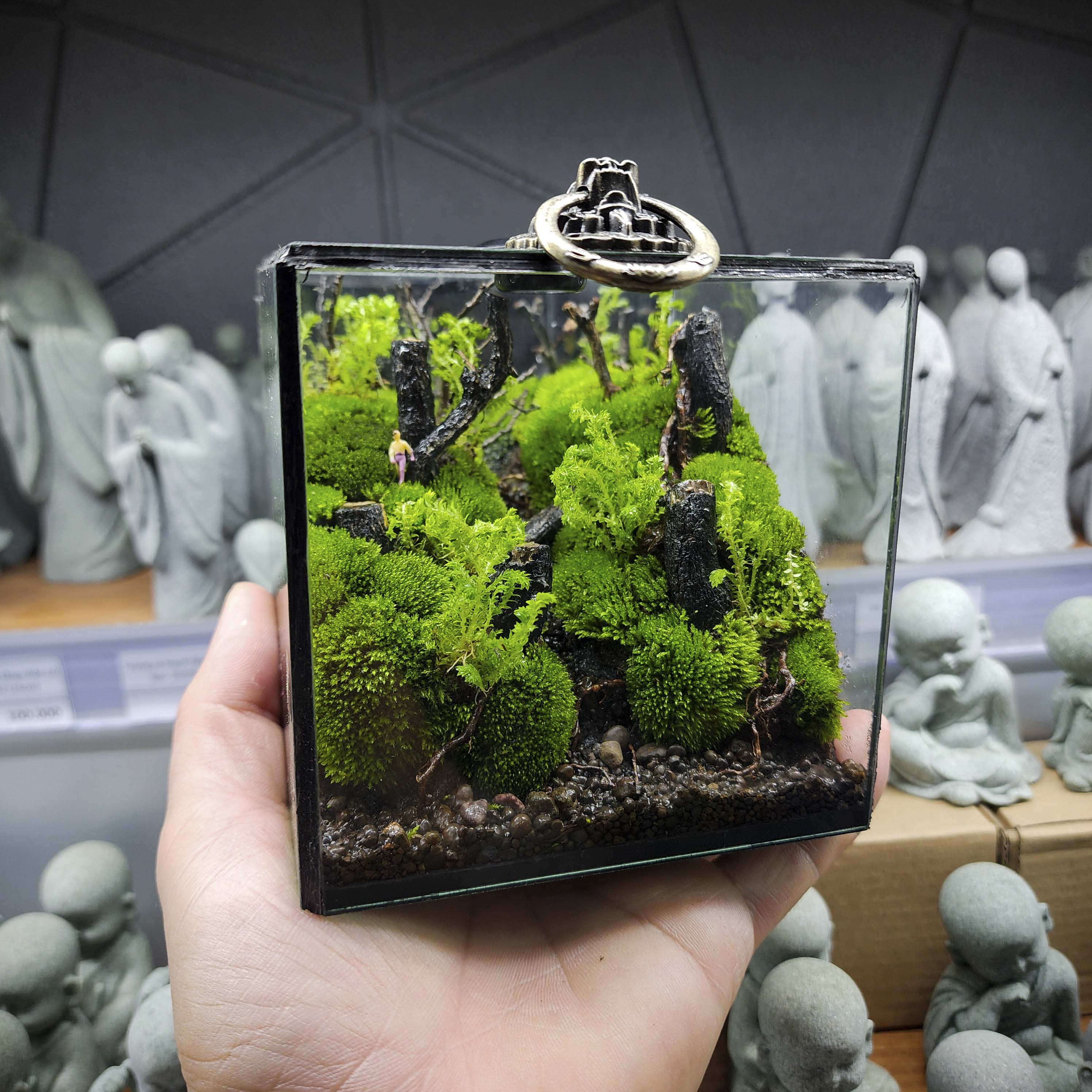 Terrarium cubic 10 "Dạo chơi"