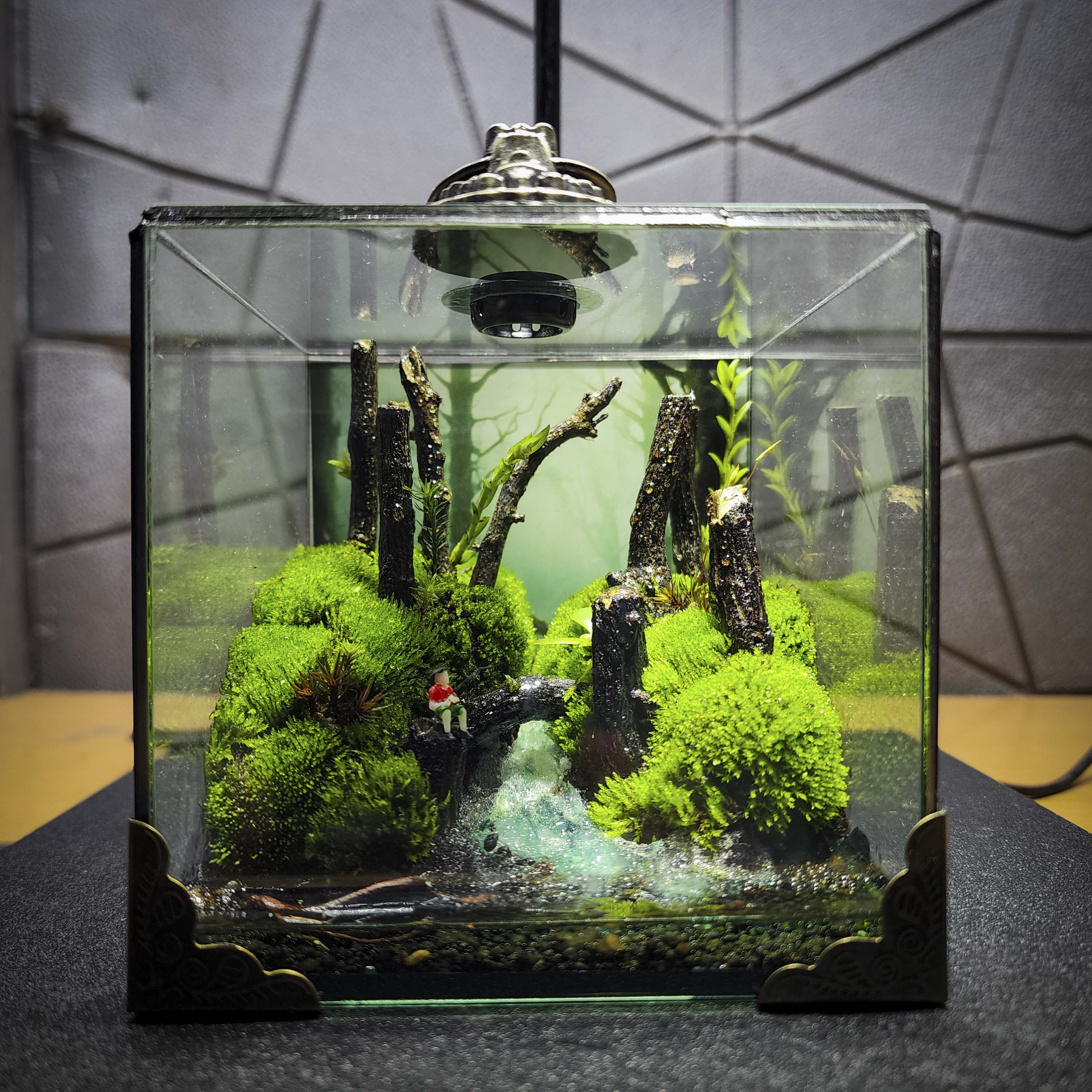 Terrarium cubic 10 "câu cá"