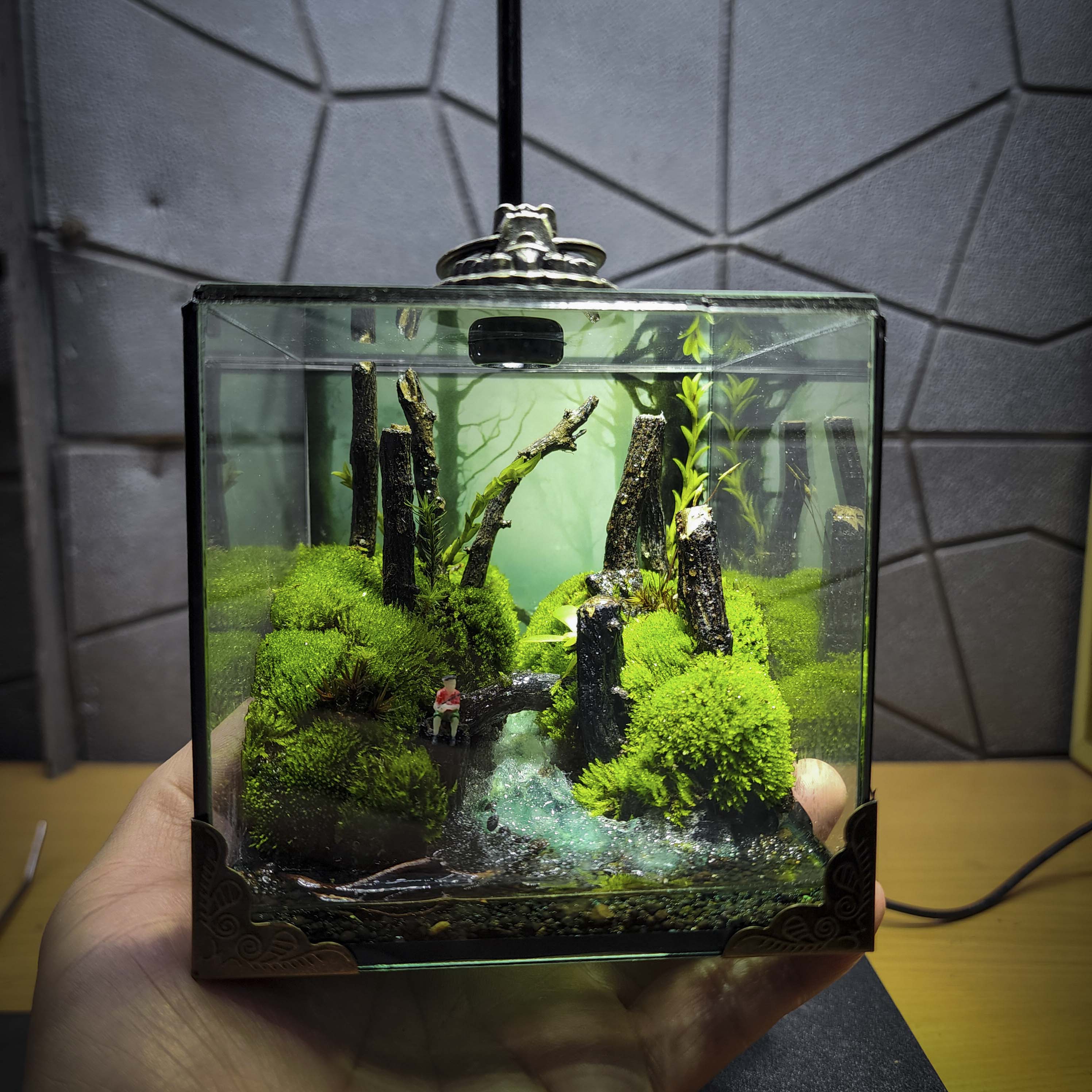 Terrarium cubic 10 "câu cá"