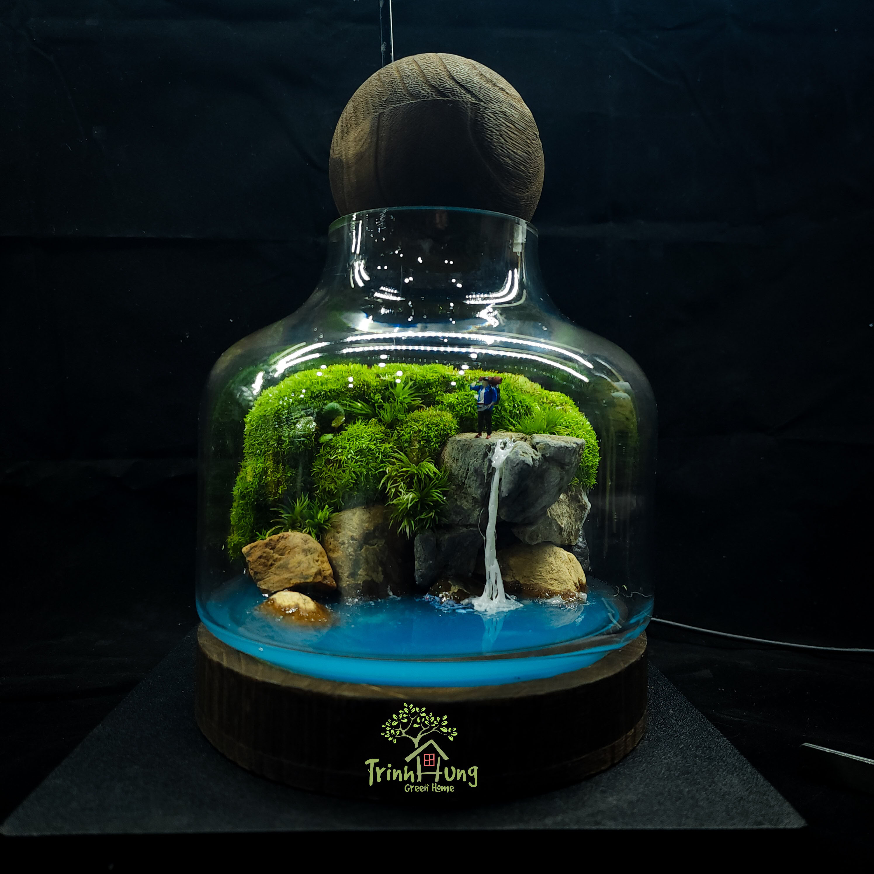 Bình Terrarium "thám hiểm"