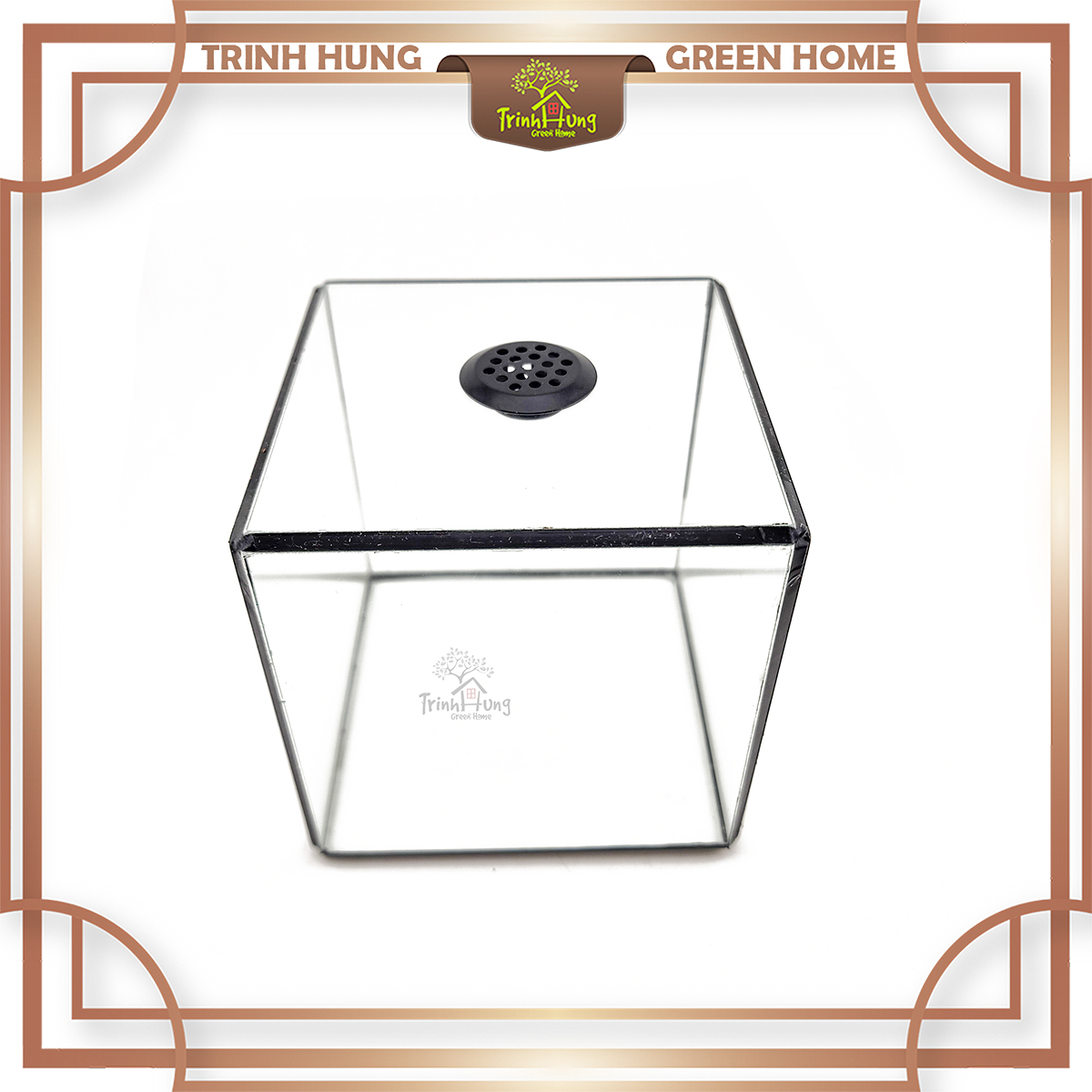 Bể cubic 10*10cm