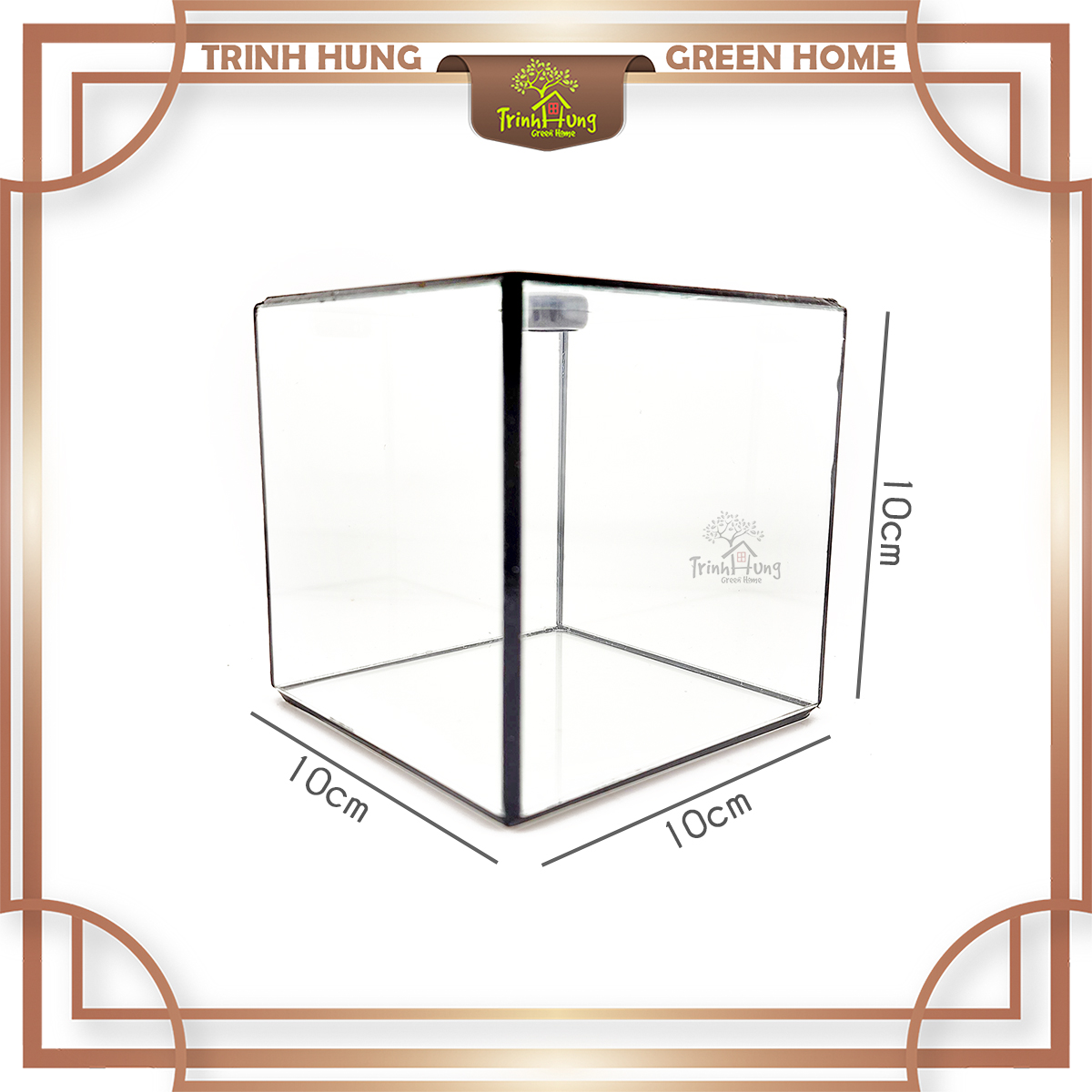 Bể cubic 10*10cm TRBK2064