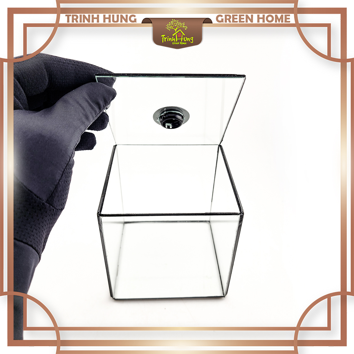 Bể cubic 10*10cm TRBK2064