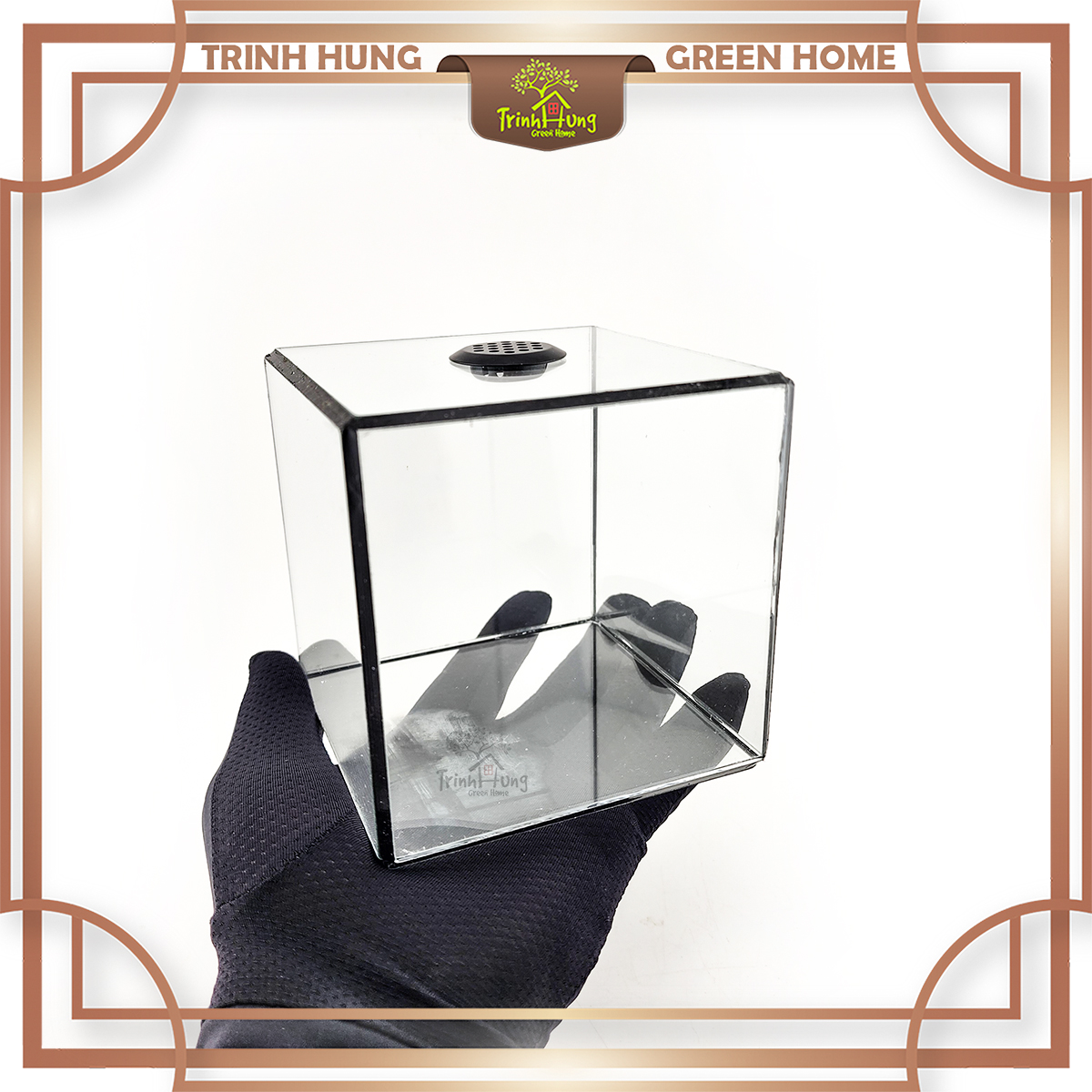 Bể cubic 10*10cm TRBK2064