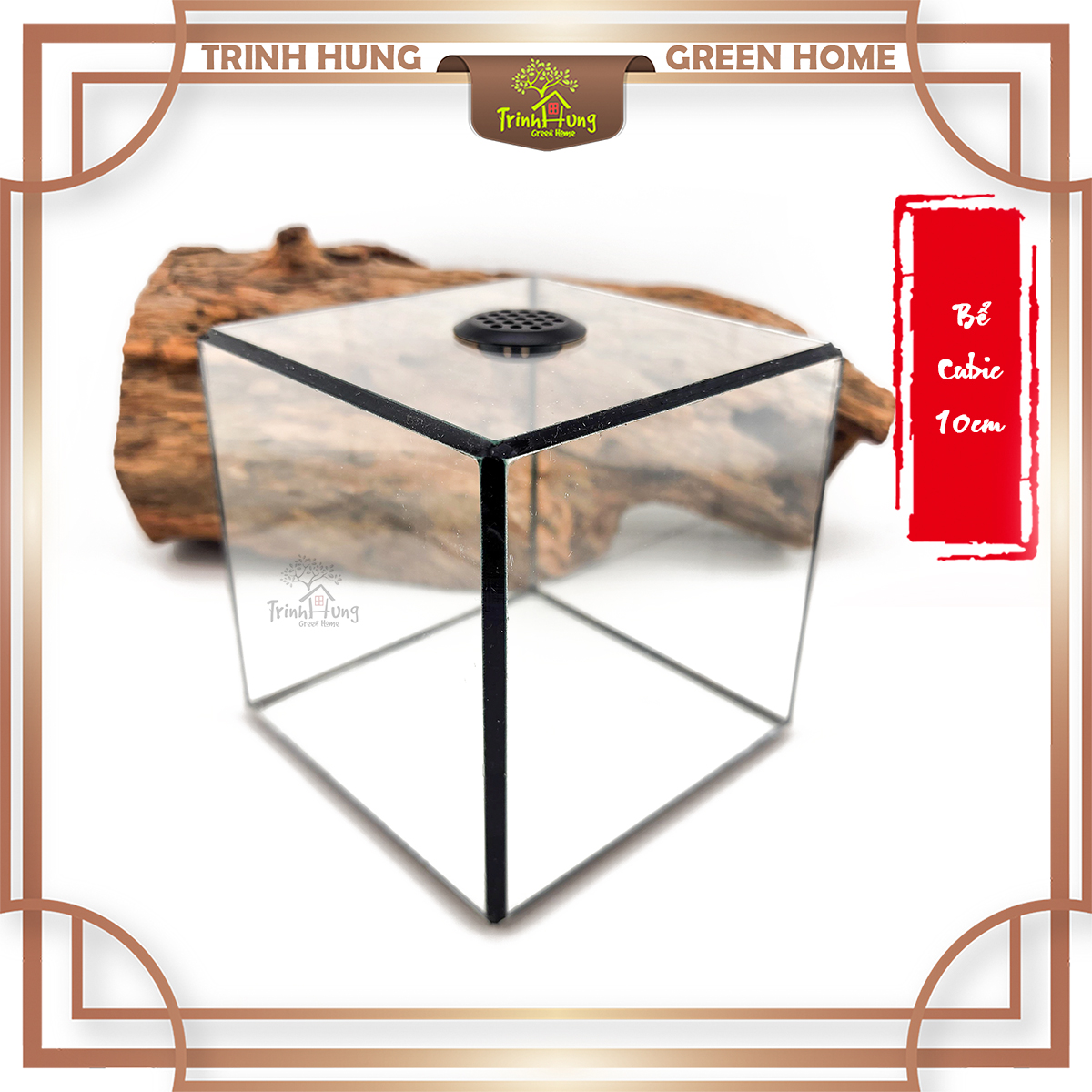 Bể cubic 10*10cm TRBK2064