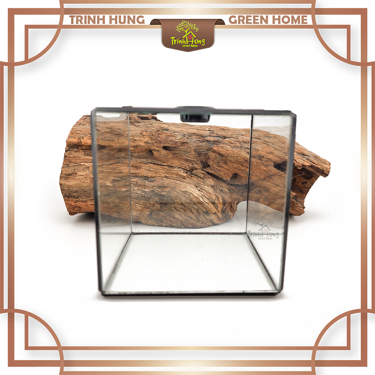 Bể cubic 10*10cm TRBK2064