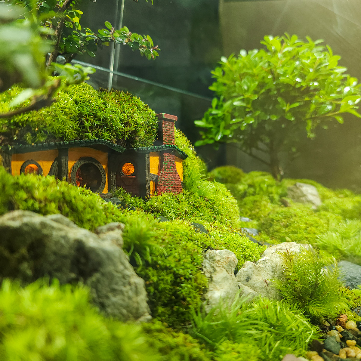 Nhà Hobbit in 3D