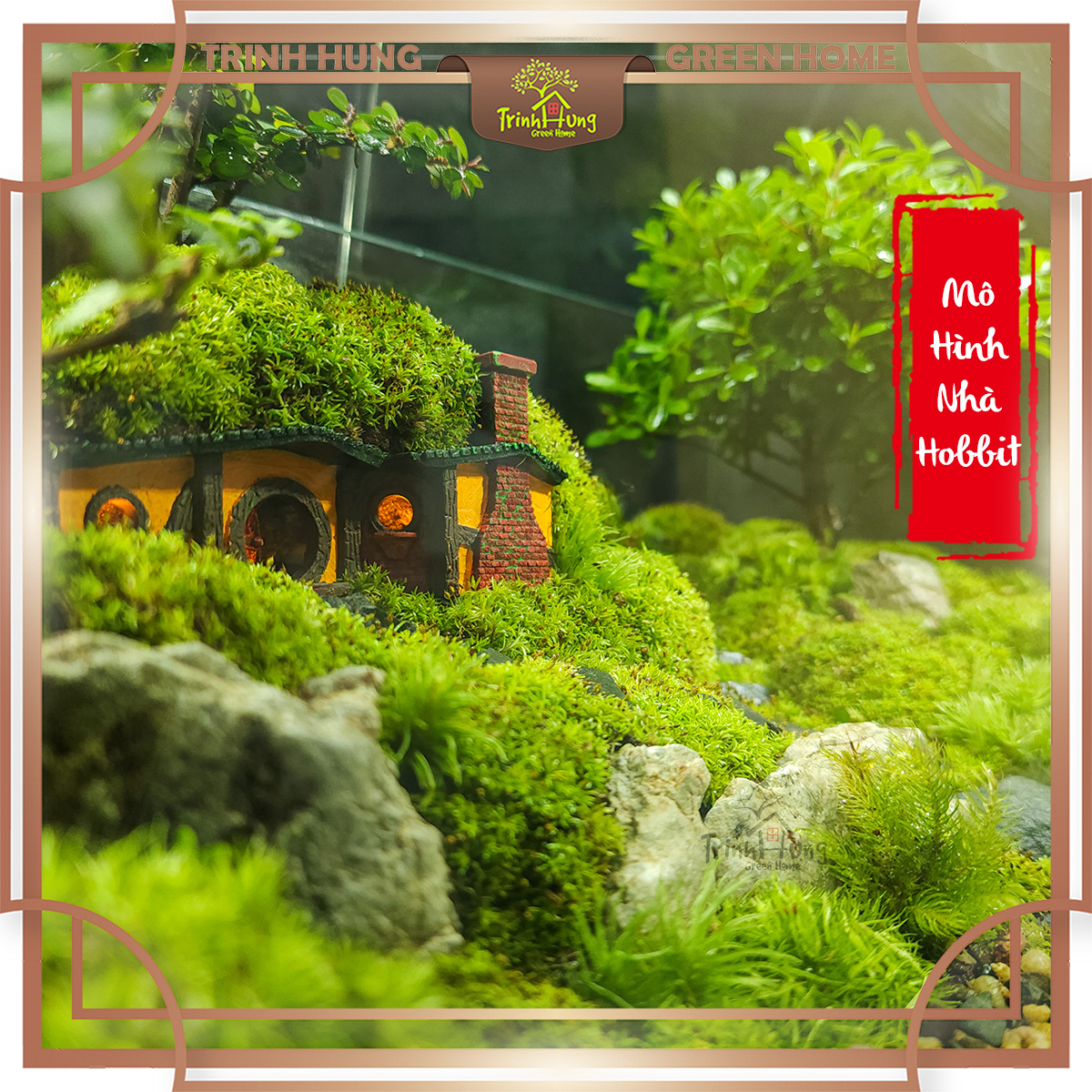 Nhà Hobbit in 3D