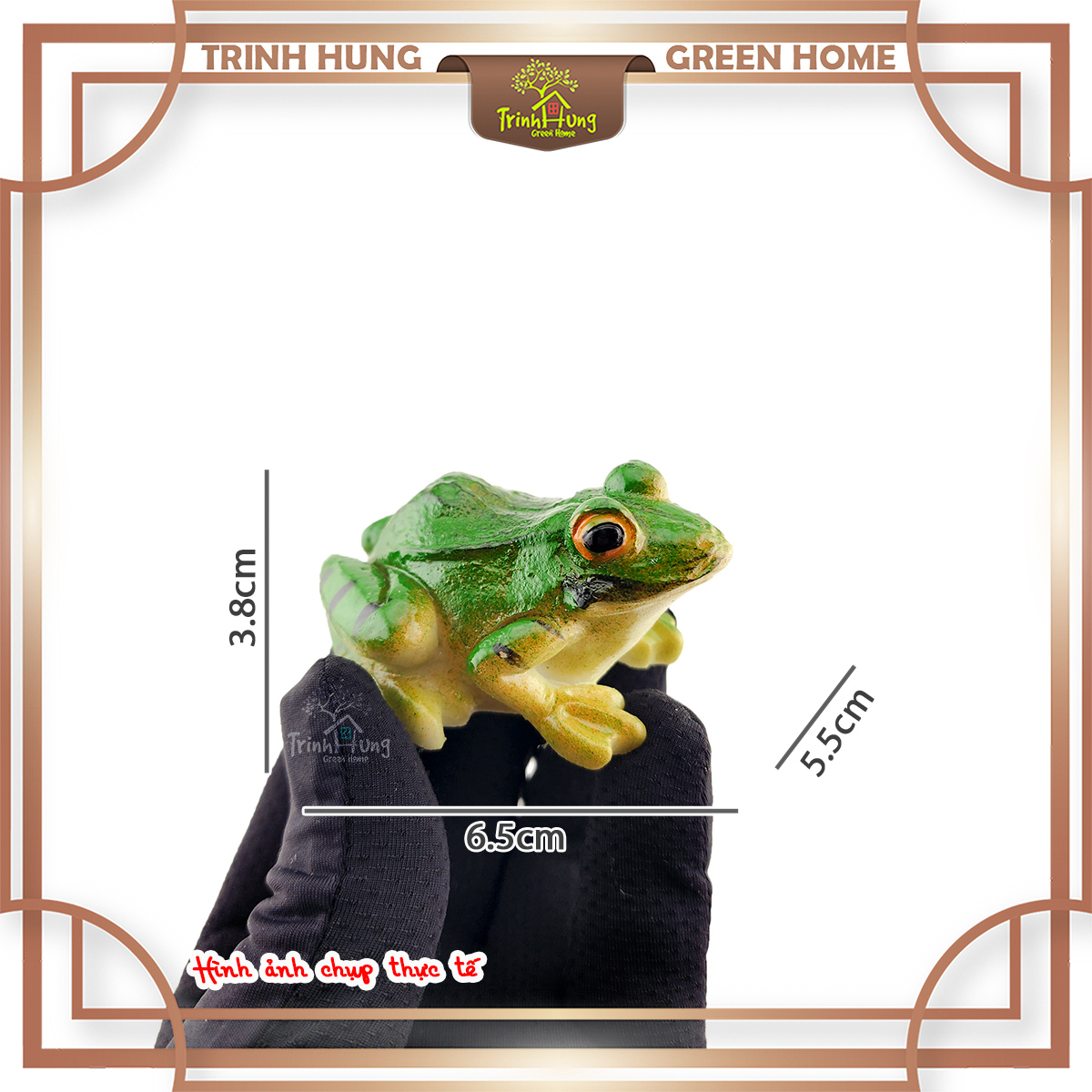 Mô hình ếch THMN2127