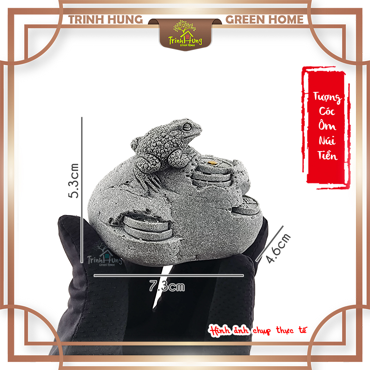 Cóc ôm núi tiền đá sa thạch ST.PVN2448