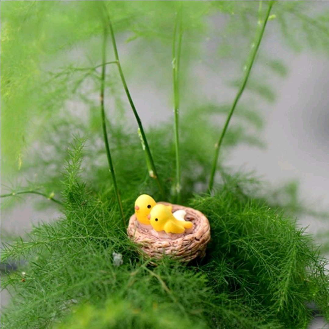 Mô hình tổ chim THMN773