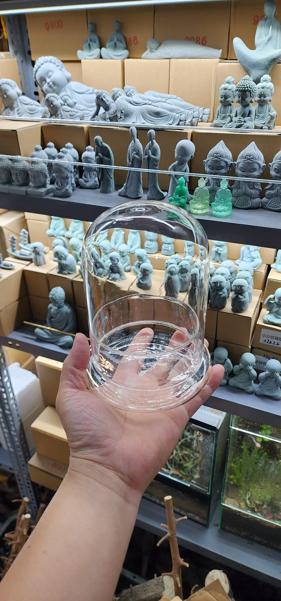 Bình thủy tinh Terrarium chuông nắp chụp