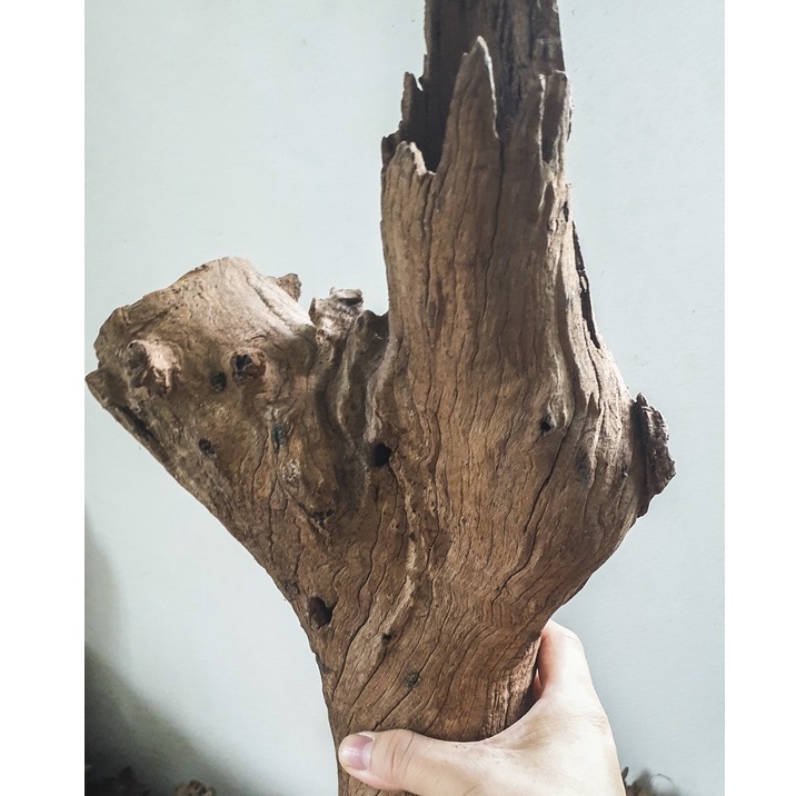 Gỗ lũa san đá ống SL 1KG