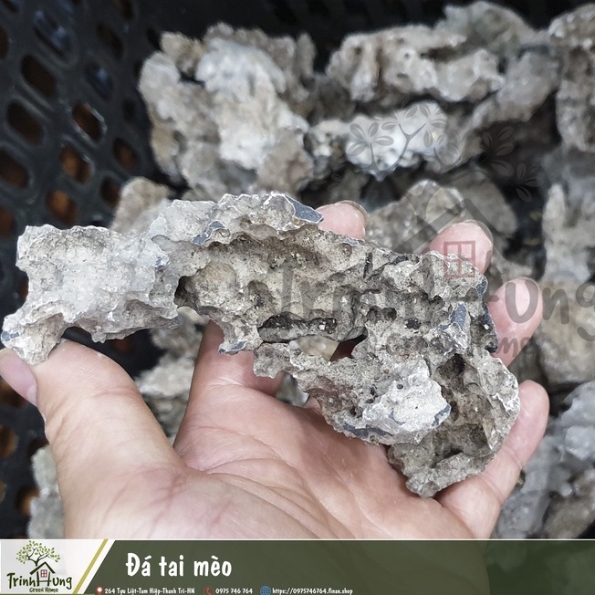 Đá tai mèo 1kg setup tiểu cảnh bán cạn, terrarium, ghép bonsai