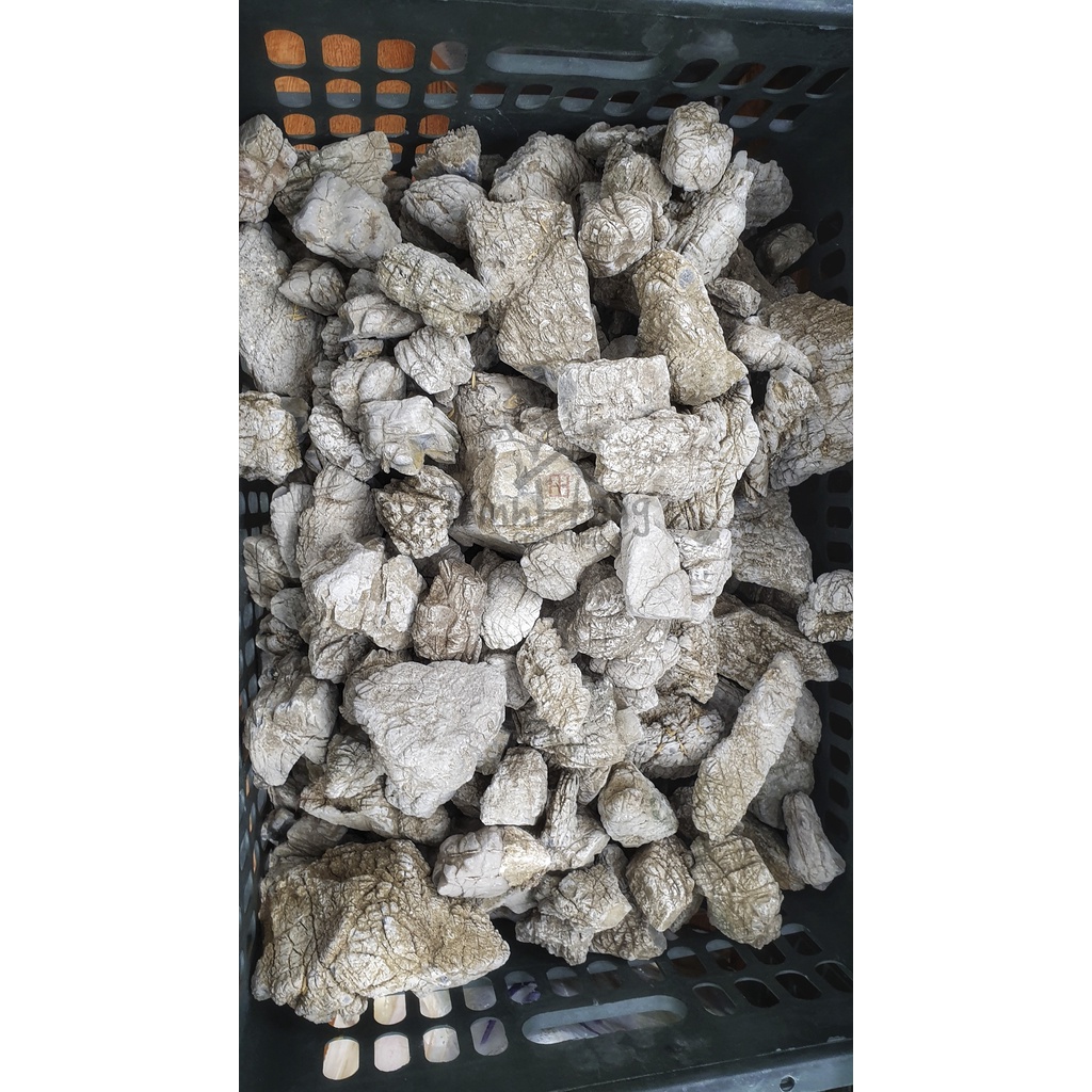 Đá da voi tuyển chọn size mini từ 3-15cm (1kg)