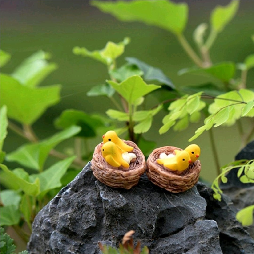 Mô hình tổ chim THMN773
