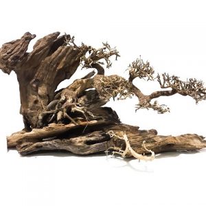 Gỗ lũa san đá miếng SL 1KG
