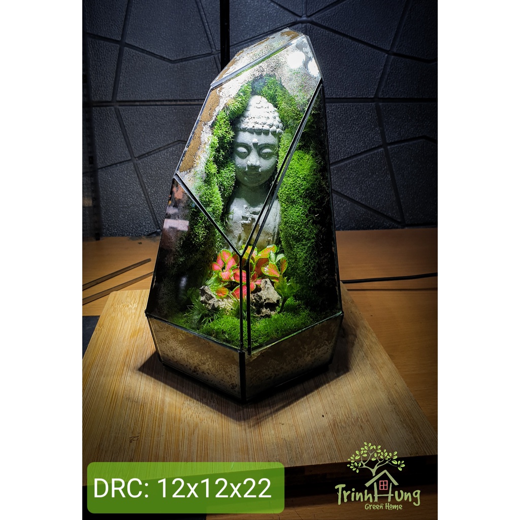 Rêu cỏ hộp 2 lớp