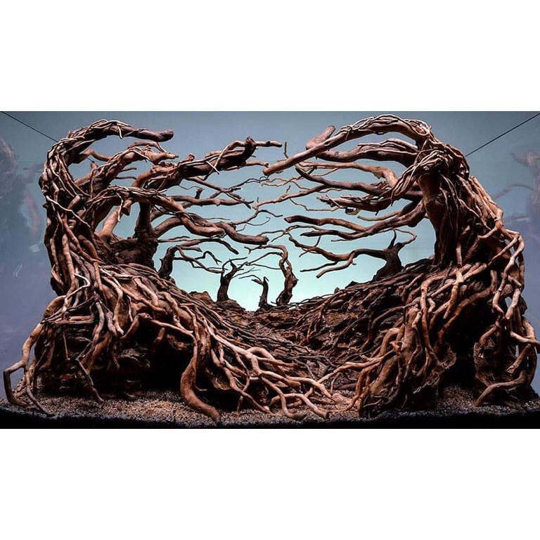 Rễ rừng setup bể thủy sinh, bán cạn, Terrarium SL 100Gram