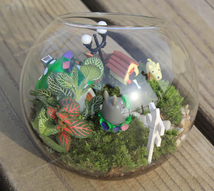 Bình thủy tinh tròn miệng lệch