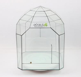Bể kính Terrarium TRBK